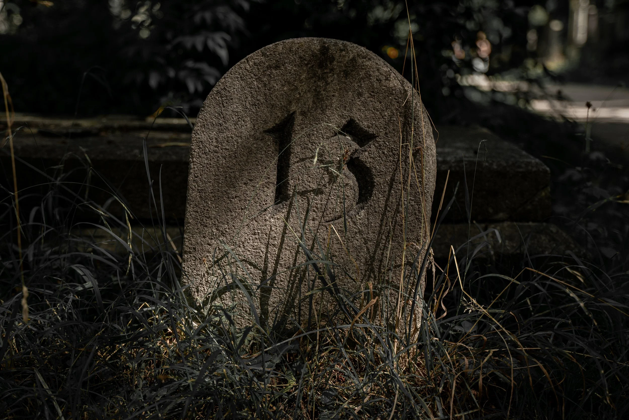 Alter Südfriedhof.jpg