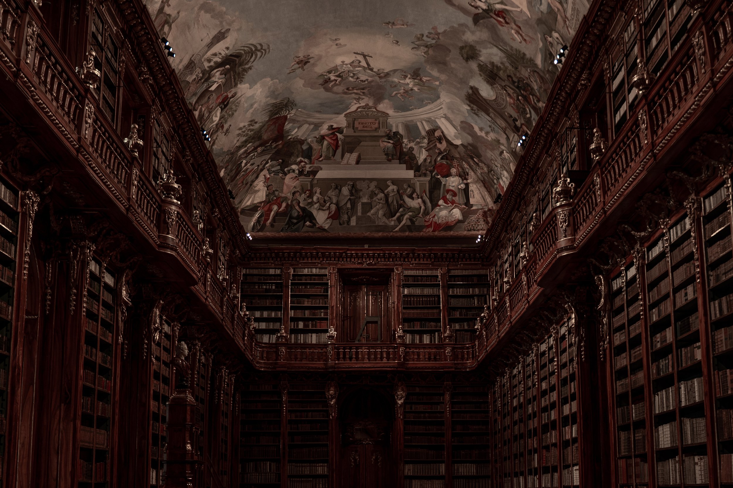 Stahov Library 2.jpg