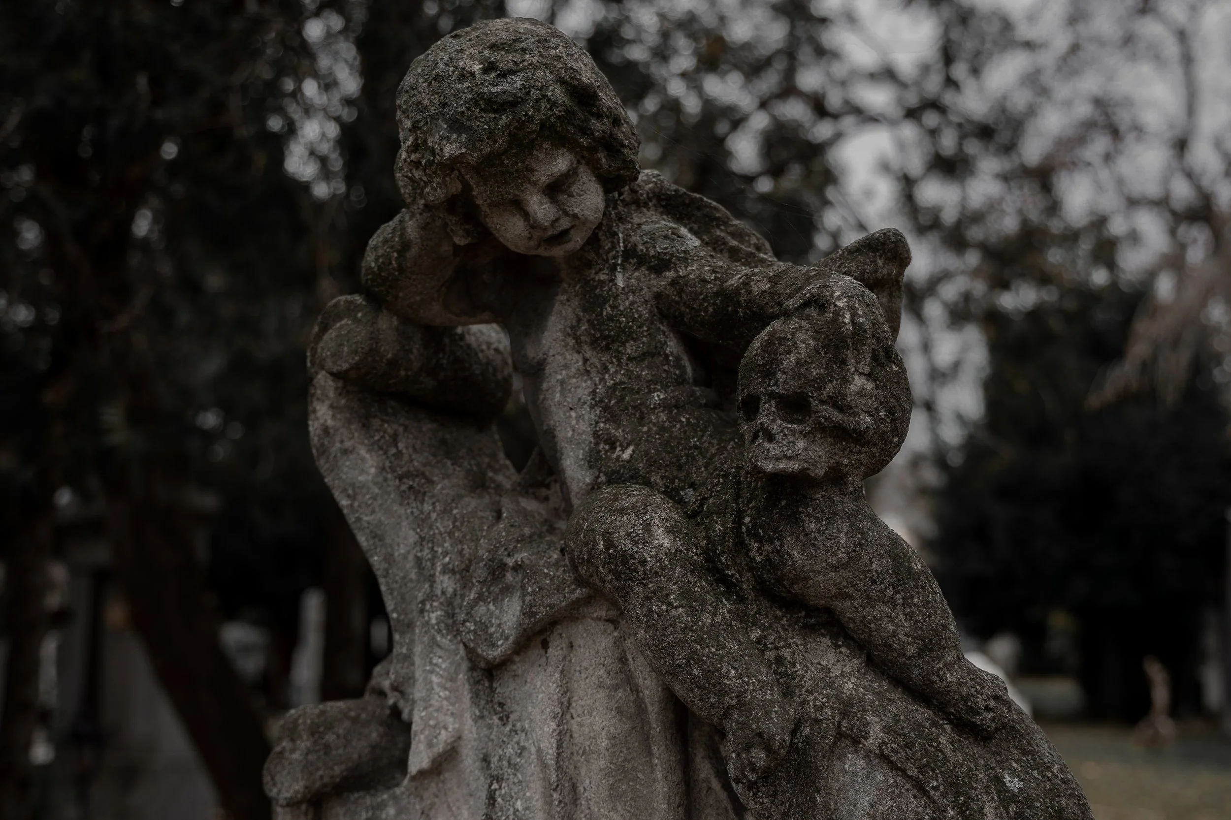 Central Cemetery new new 2.jpg