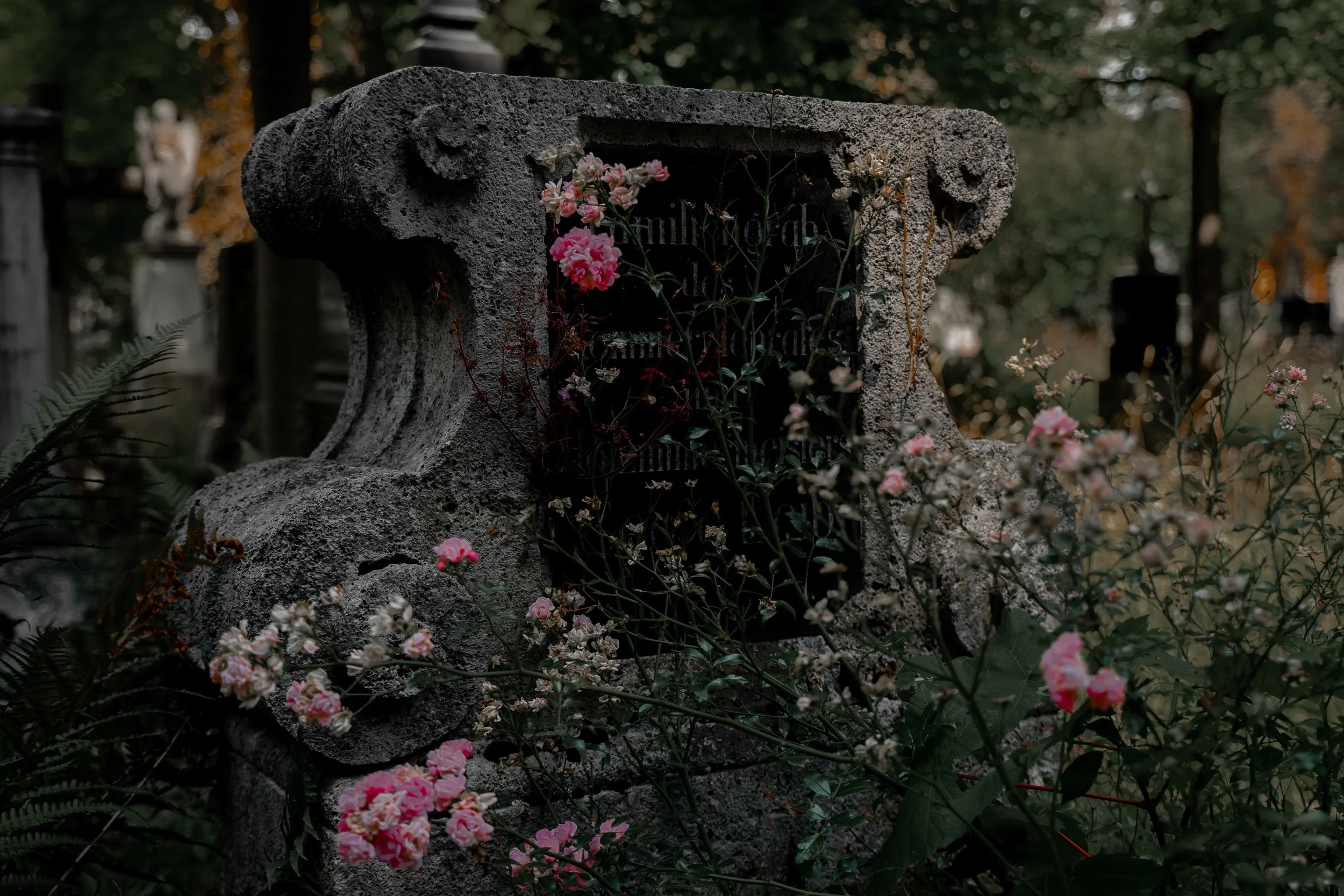 Alter Südfriedhof 11.jpg