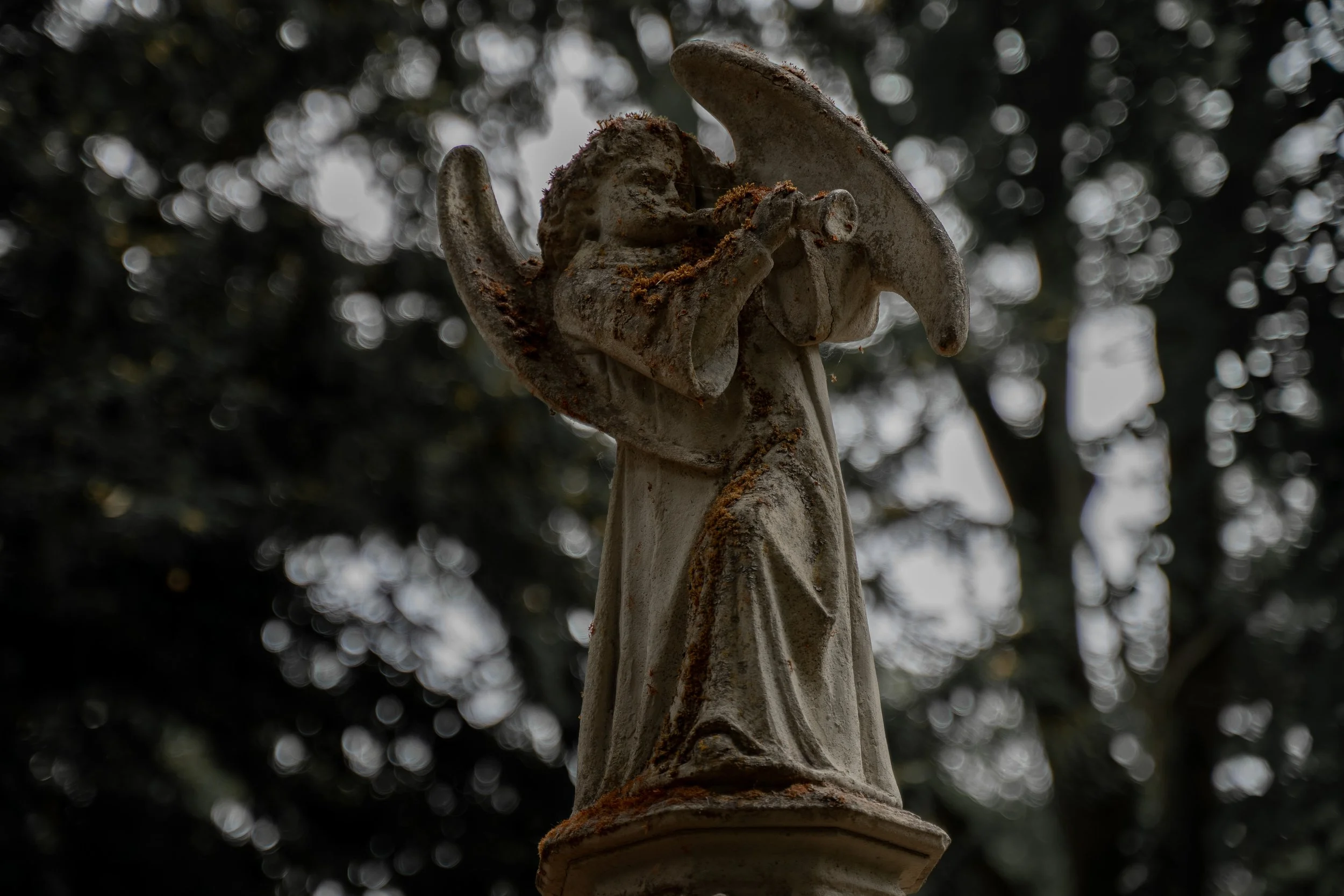 Melatenfriedhof 7.jpg