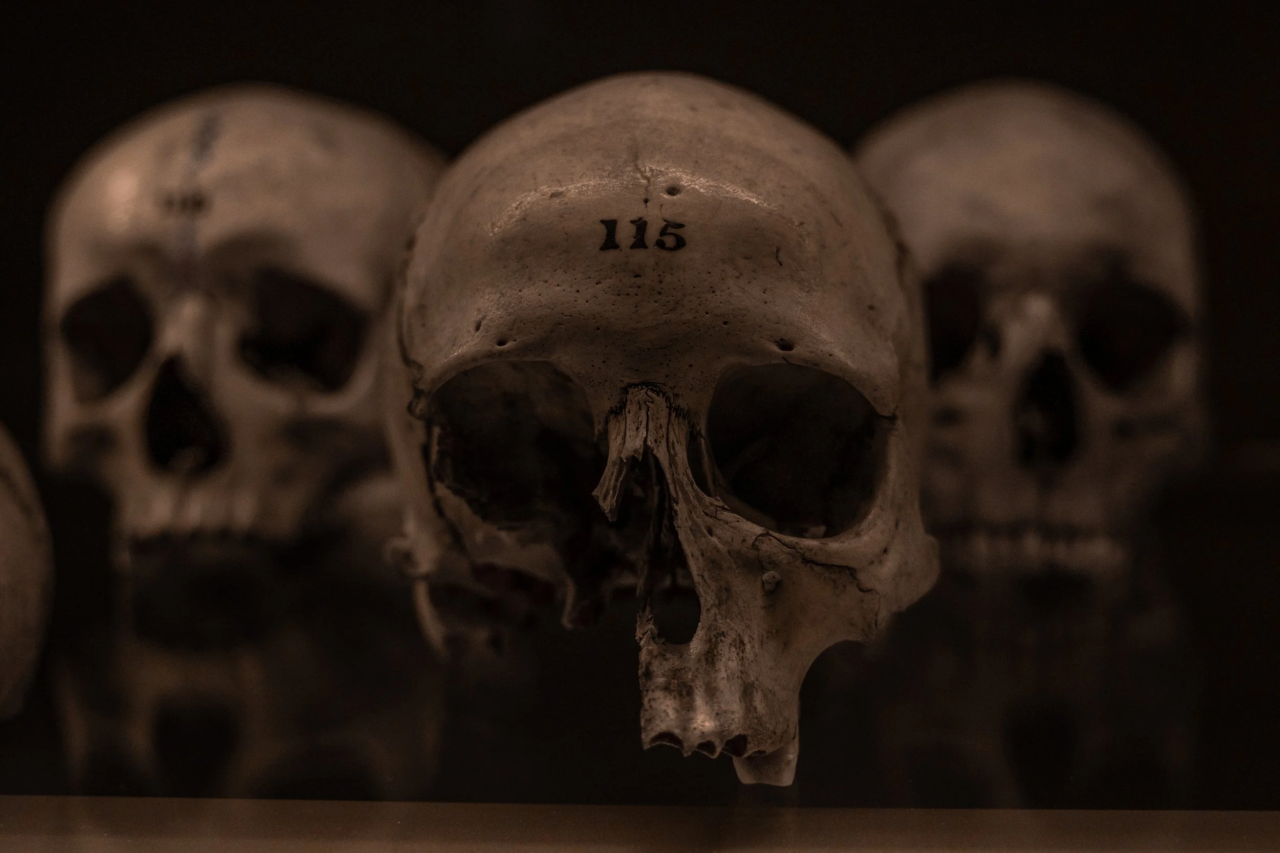 Hunterian Museum 5-2.jpg