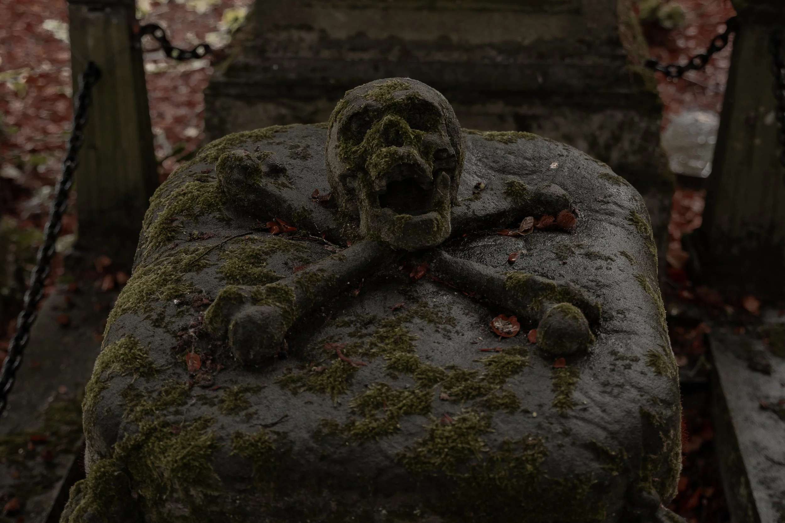 Central Cemetery 8.jpg