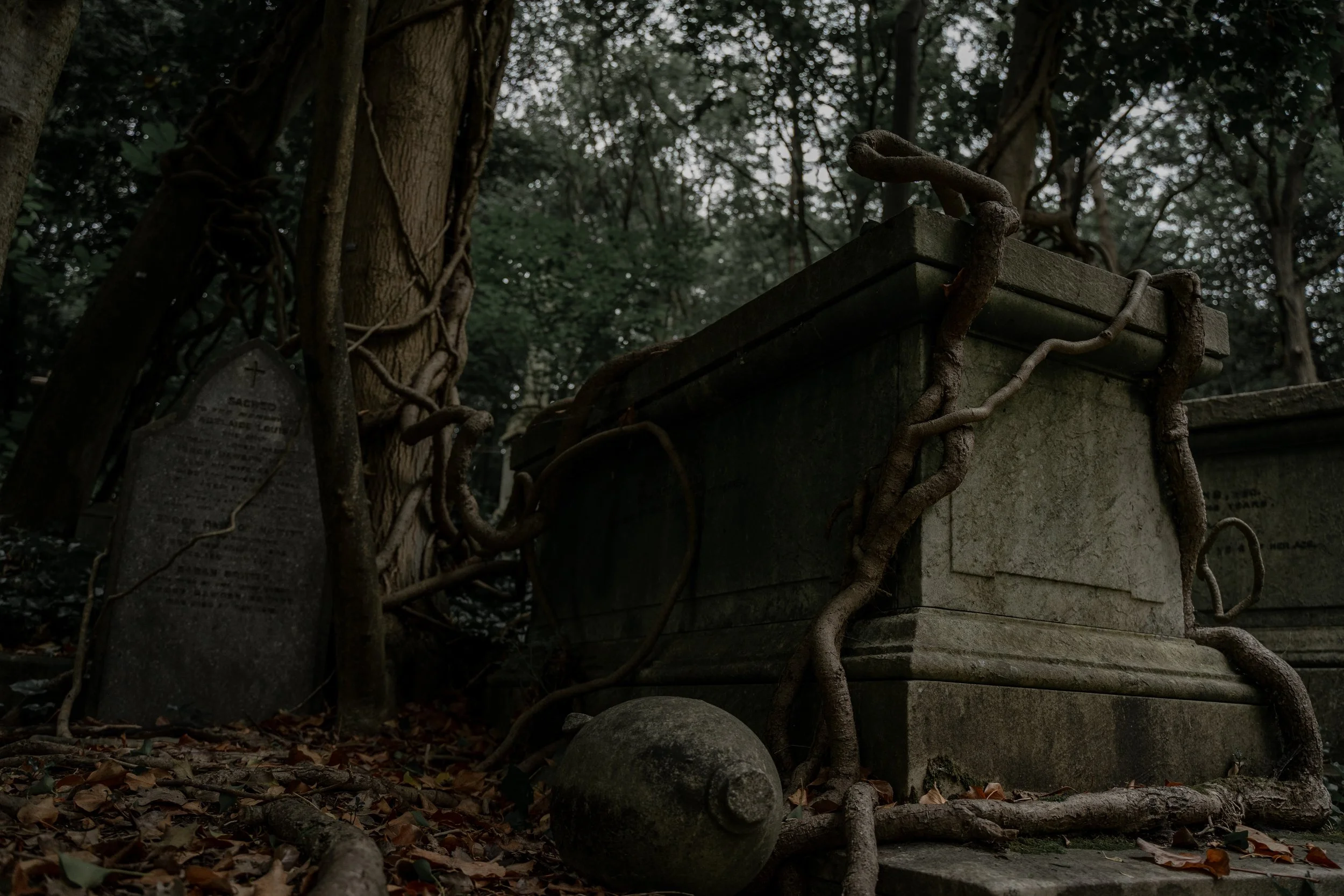 Highgate 4.jpg