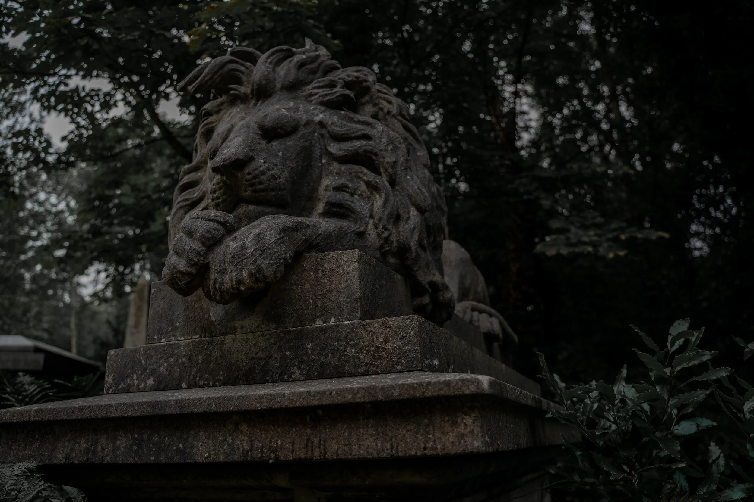 Highgate 1.jpg