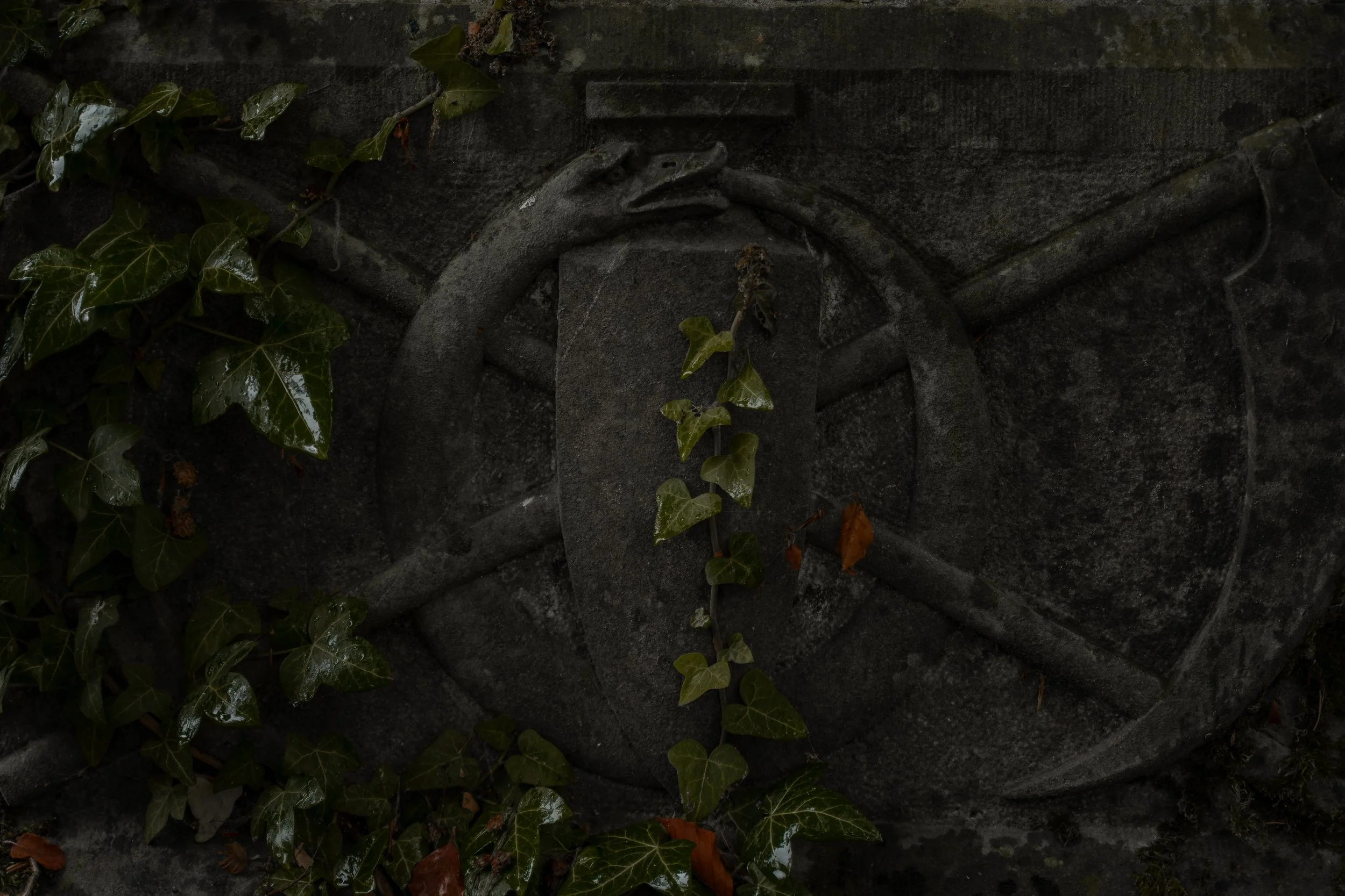 Central Cemetery 1.jpg
