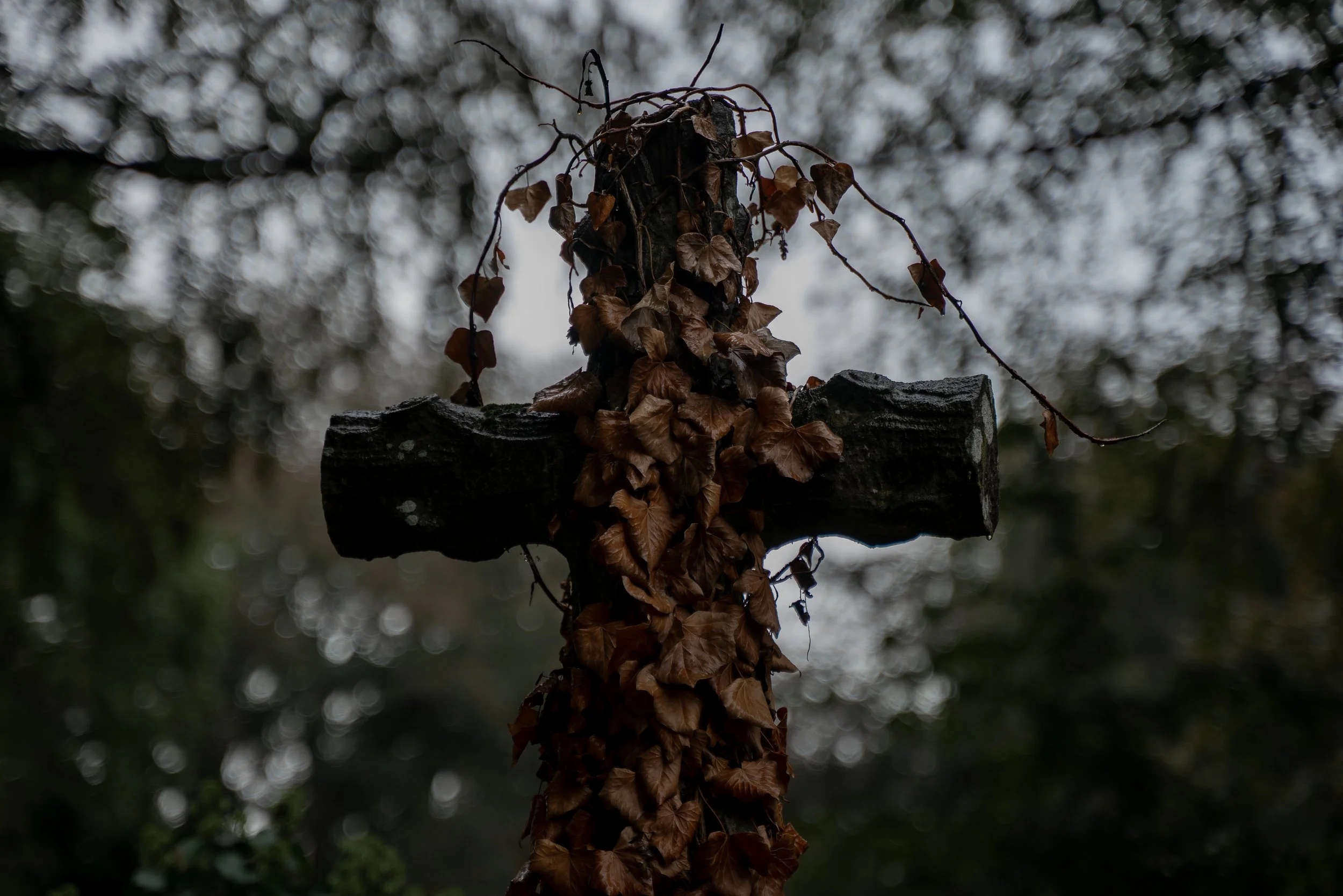 Central Cemetery 7.jpg