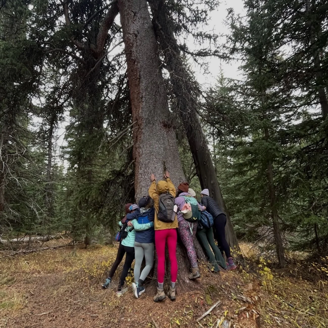 Hugs and trees and more hugs! 🤗🌲🤗 

2026 retreat info will be launched before the new year! Make sure you are on our email and following along here! 

Any guesses on where we are going? Hint: It is not Colorado!
