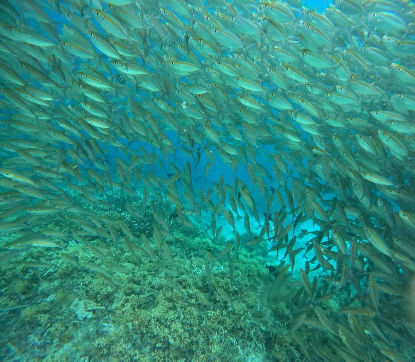 Happy Earth Day! Nature is the GOAT! Go outside and play! Hug a tree! We love you! 

👀 peep these wild and crazy photos of our glorious earth from @prestonslaughter_&rsquo;s recent trip to Indonesia