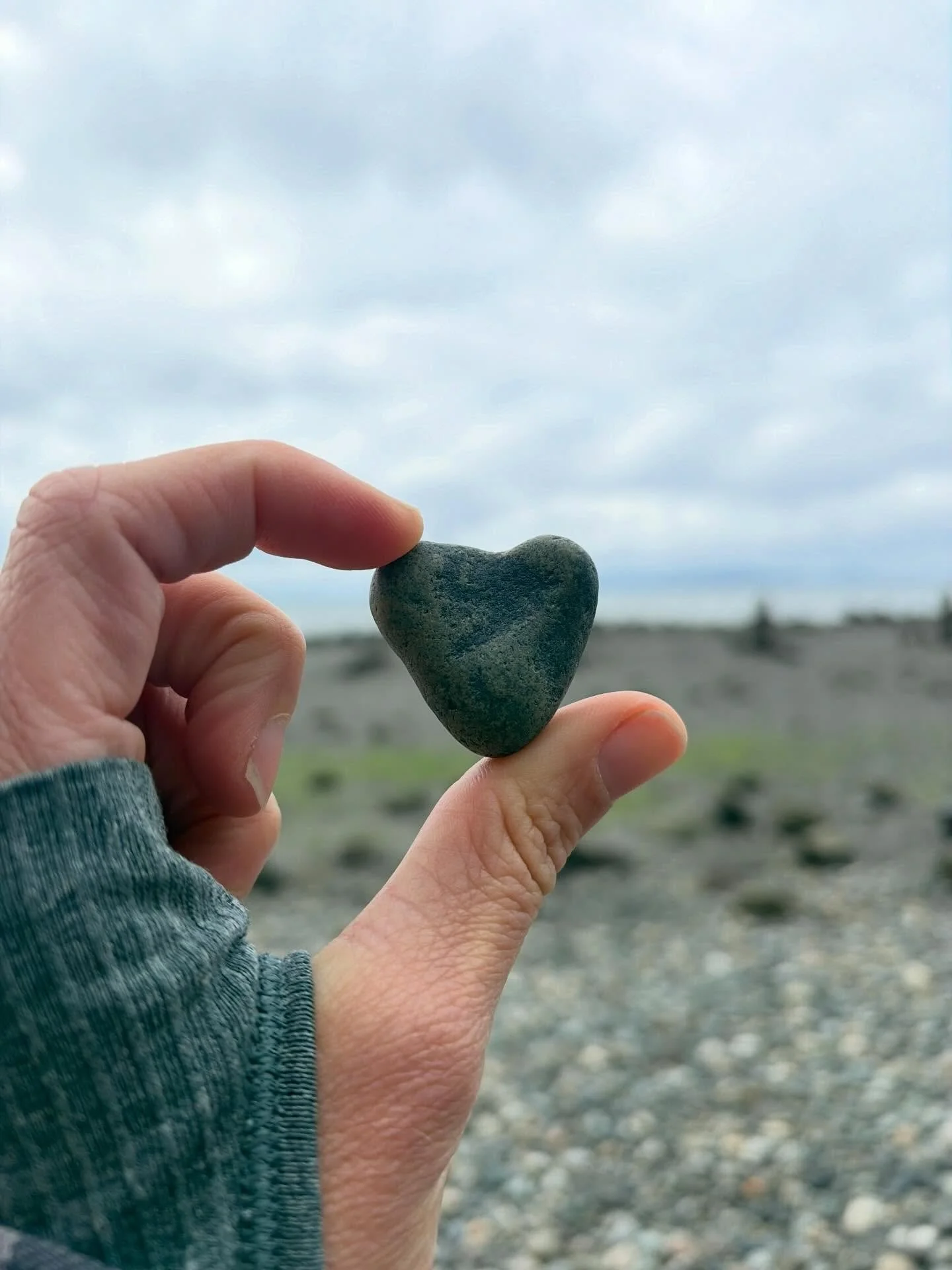 Here are some magical moments from from all my May travels. It&rsquo;s spring which means it&rsquo;s baby season! I got to meet my niece who lives in Shanghai and travel to Hong Kong, Seattle, Bellingham and all through British Colombia and the Yukon