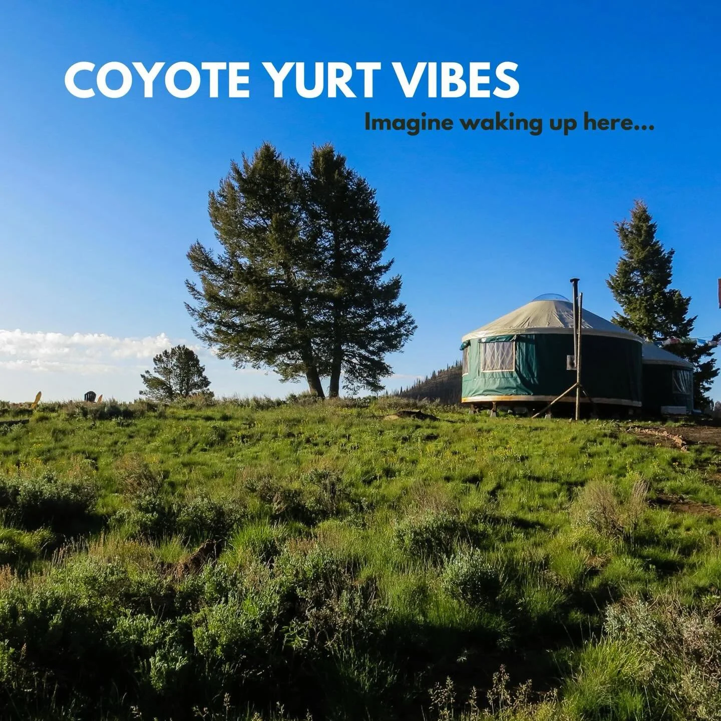 Still time to snag tickets for our Idaho retreat! 

🌲 August 26&ndash;30, 2026

✨ Escape to the Idaho backcountry 
🏕️ 3 nights at Coyote Yurt
💦 1 night at nearby hot springs resort 
🔥 Sauna + yoga + dance parties 
🎶 Live music by @lvdy.music 
🍽
