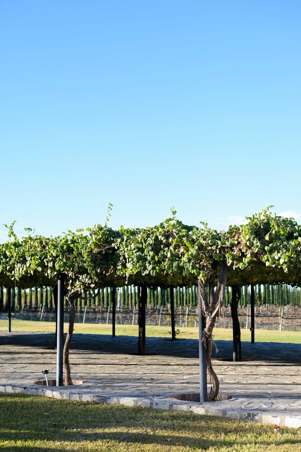 parras-sofia-max-036.jpg