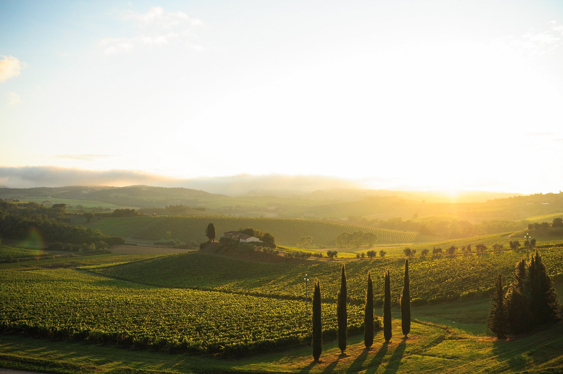 tuscany-susy-jorge-042.jpg