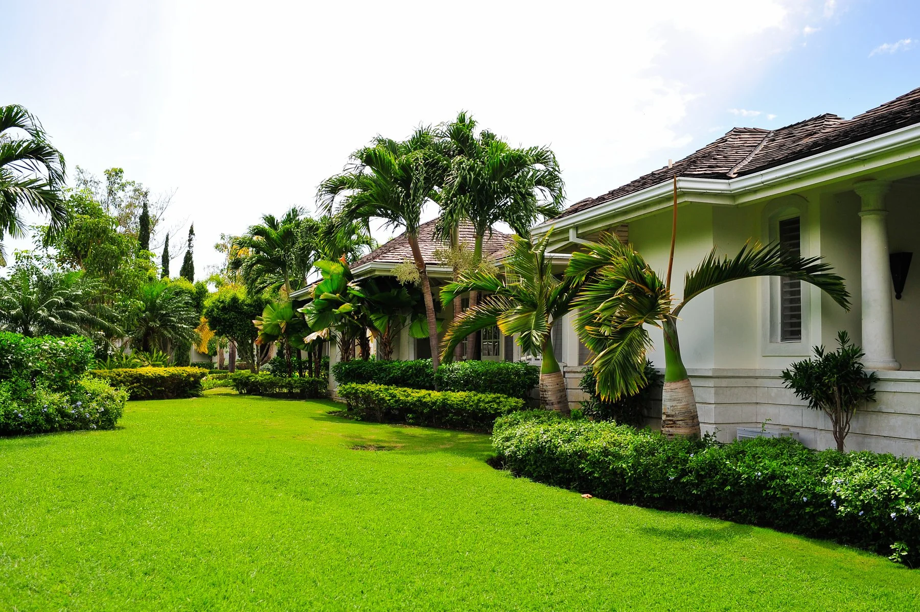 jamaica-shreni-lucky-021.jpg