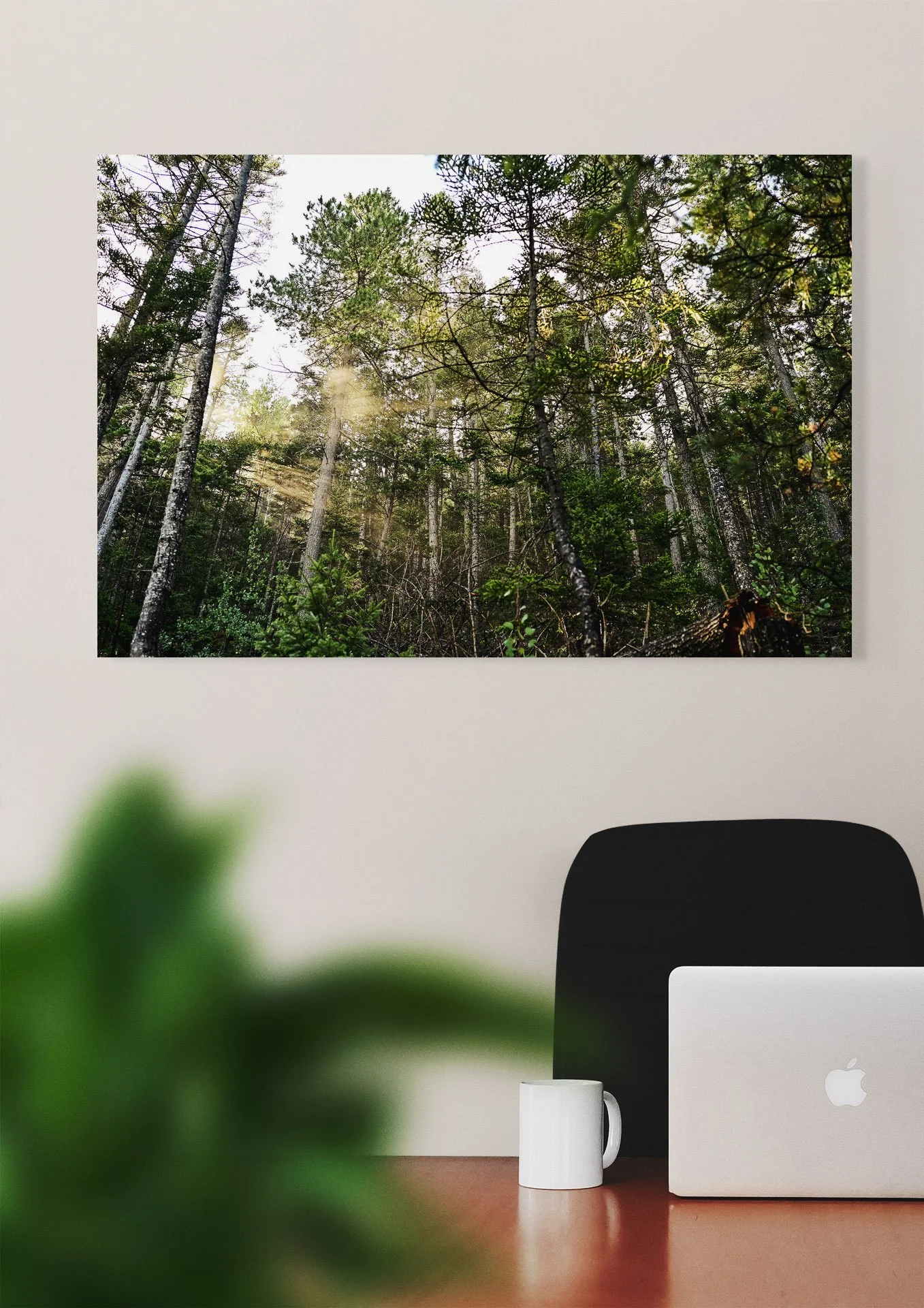 IG-Frame-vertical6.jpg