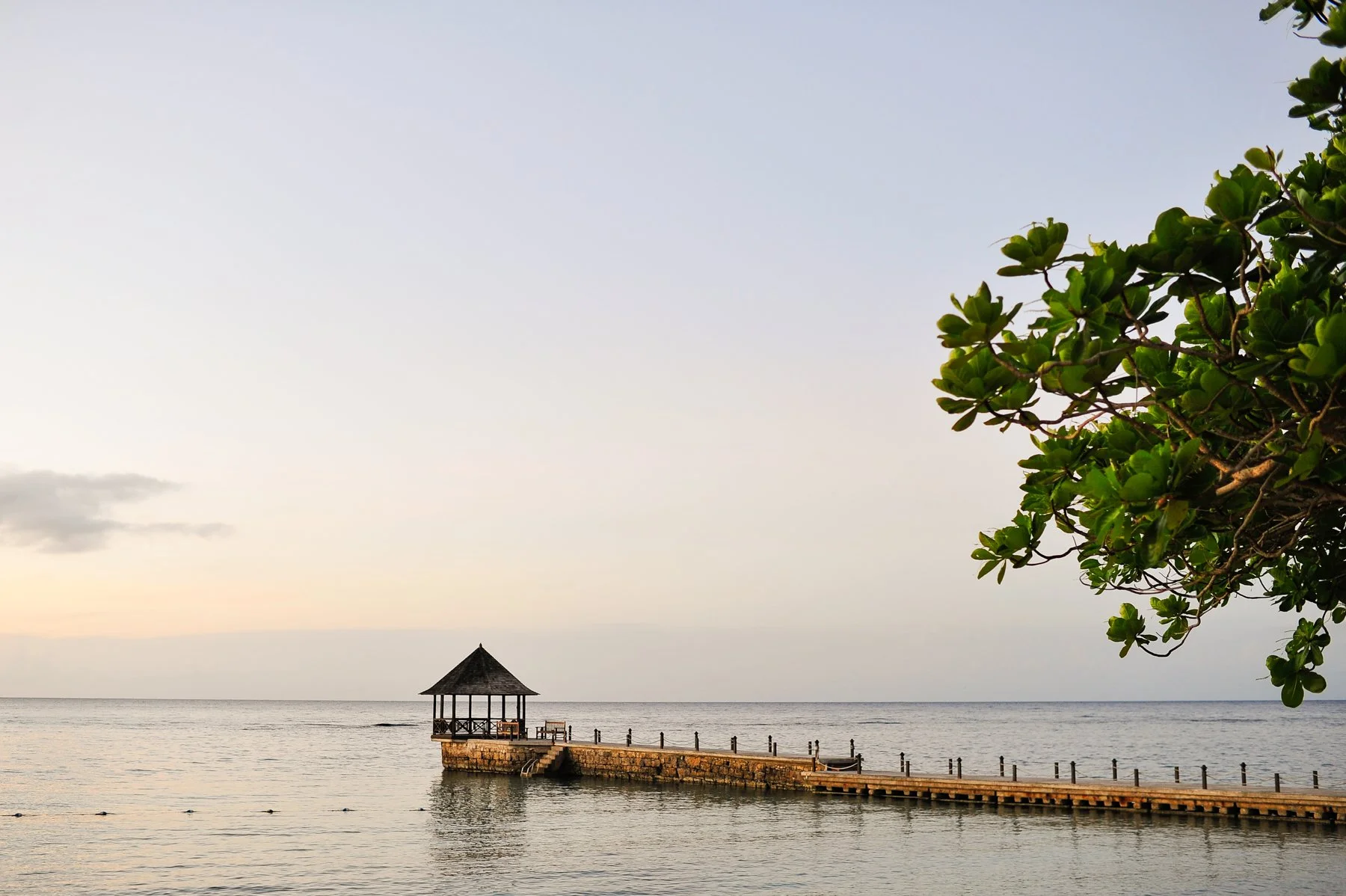 jamaica-shreni-lucky-042.jpg