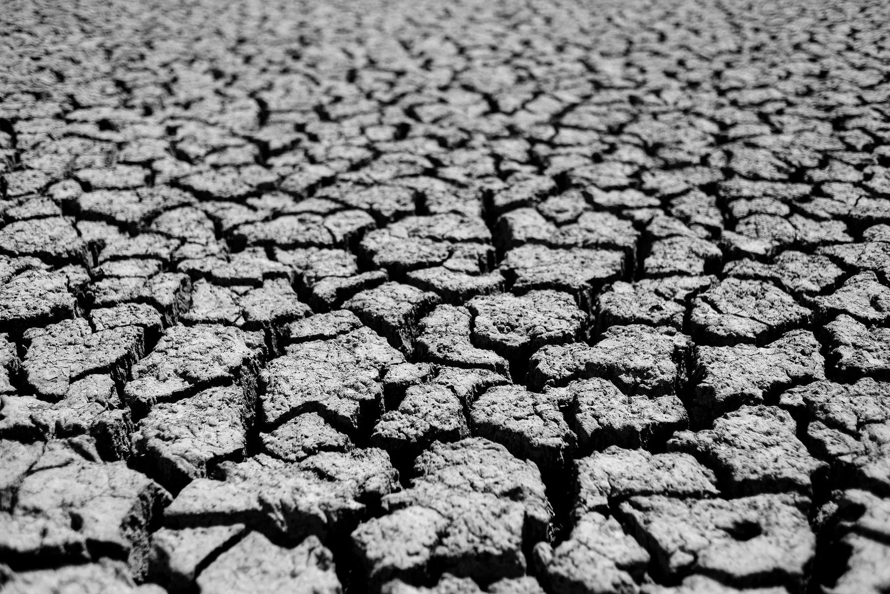 tierra-seca-0004.jpg