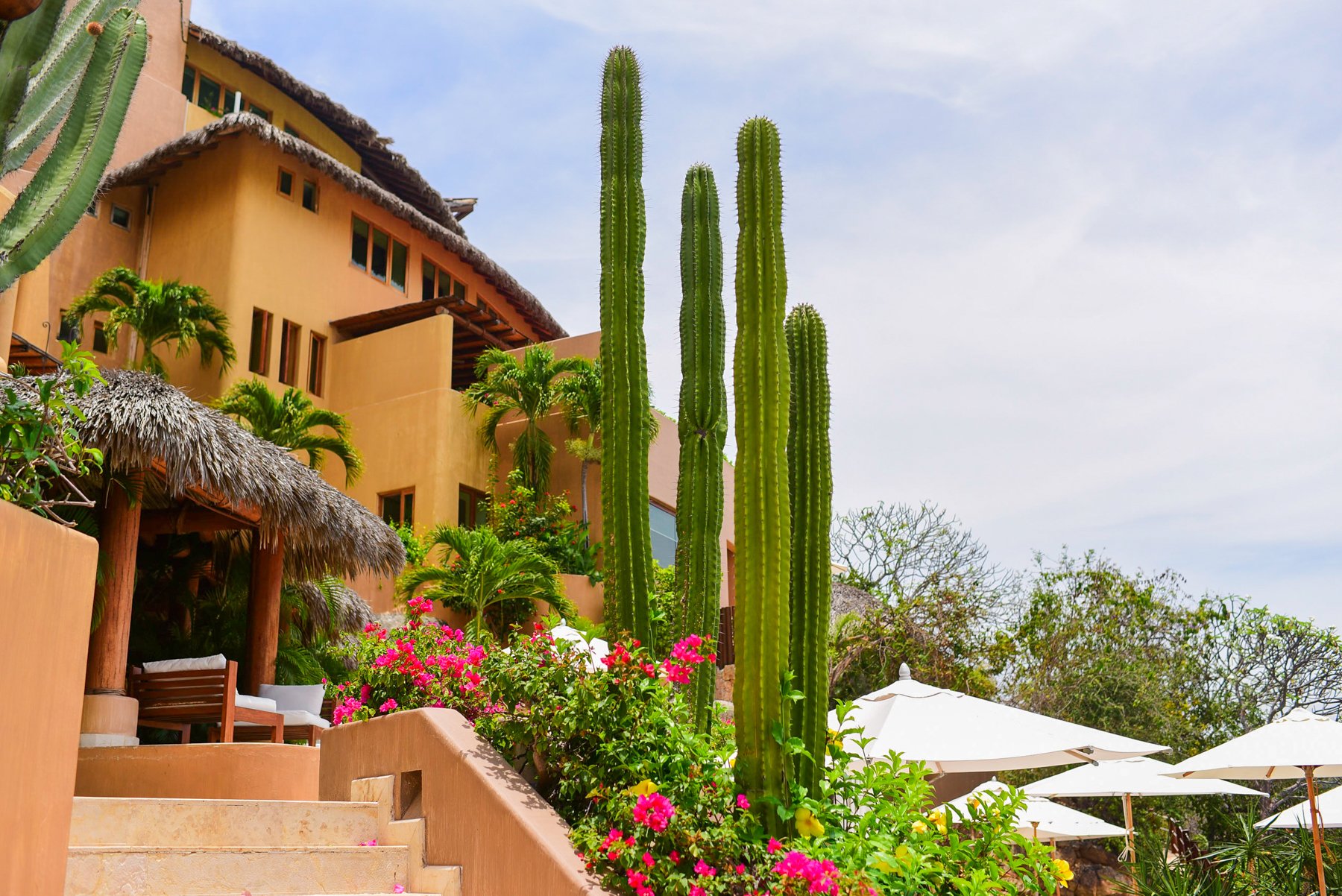 ixtapa-tiffany-shawn-001.jpg