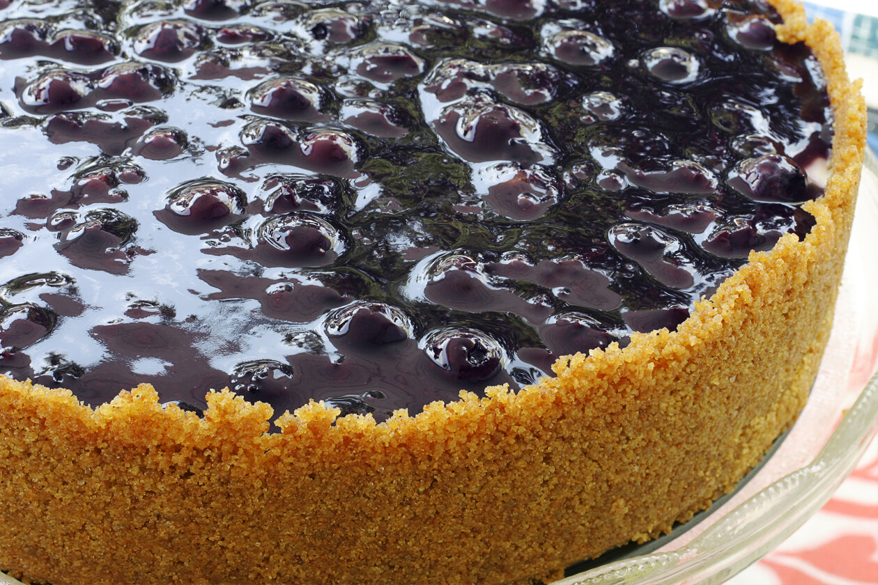 vegan-nobake-gluten-free-blueberry-cheesecake_2.jpg