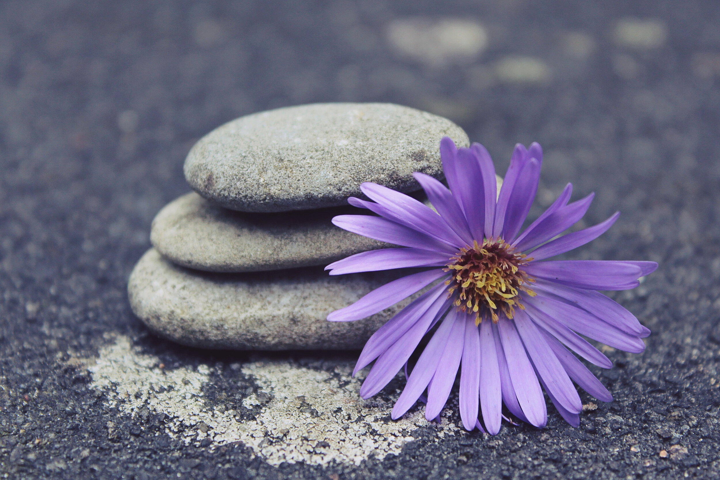 Reset your Mind and your Thoughts by Setting Intention