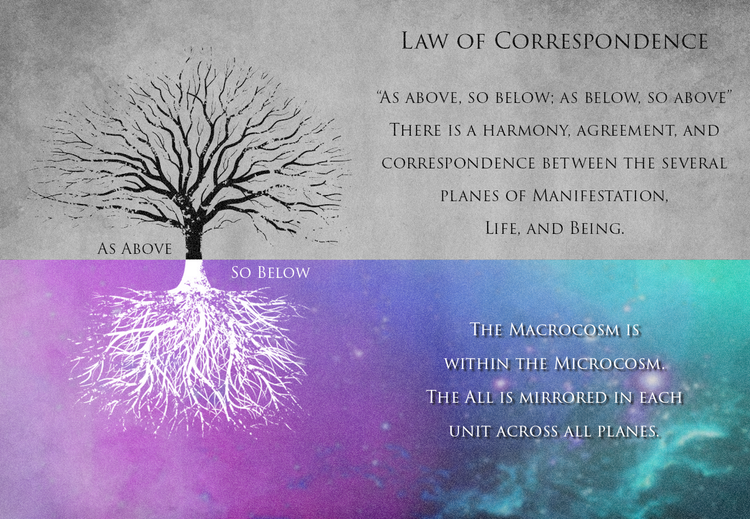 The 7 Stages of Alchemy — The Alchemist