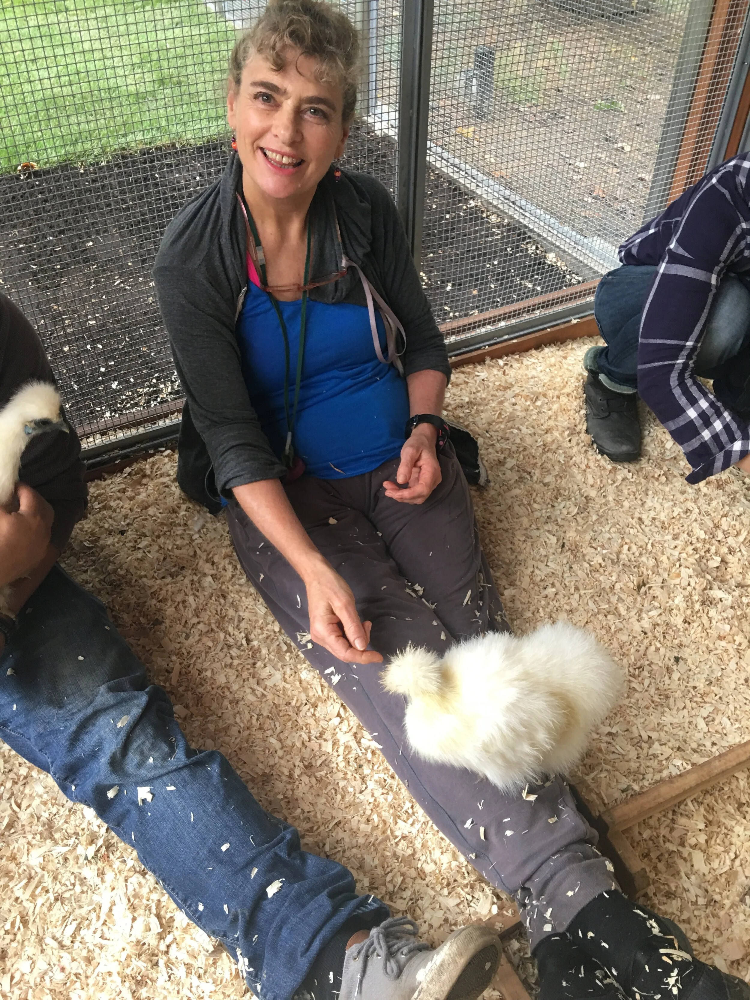 Nina chicken training in upstate New York - September 2017