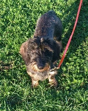 Solving Behaviour Problems: Daxi's Story