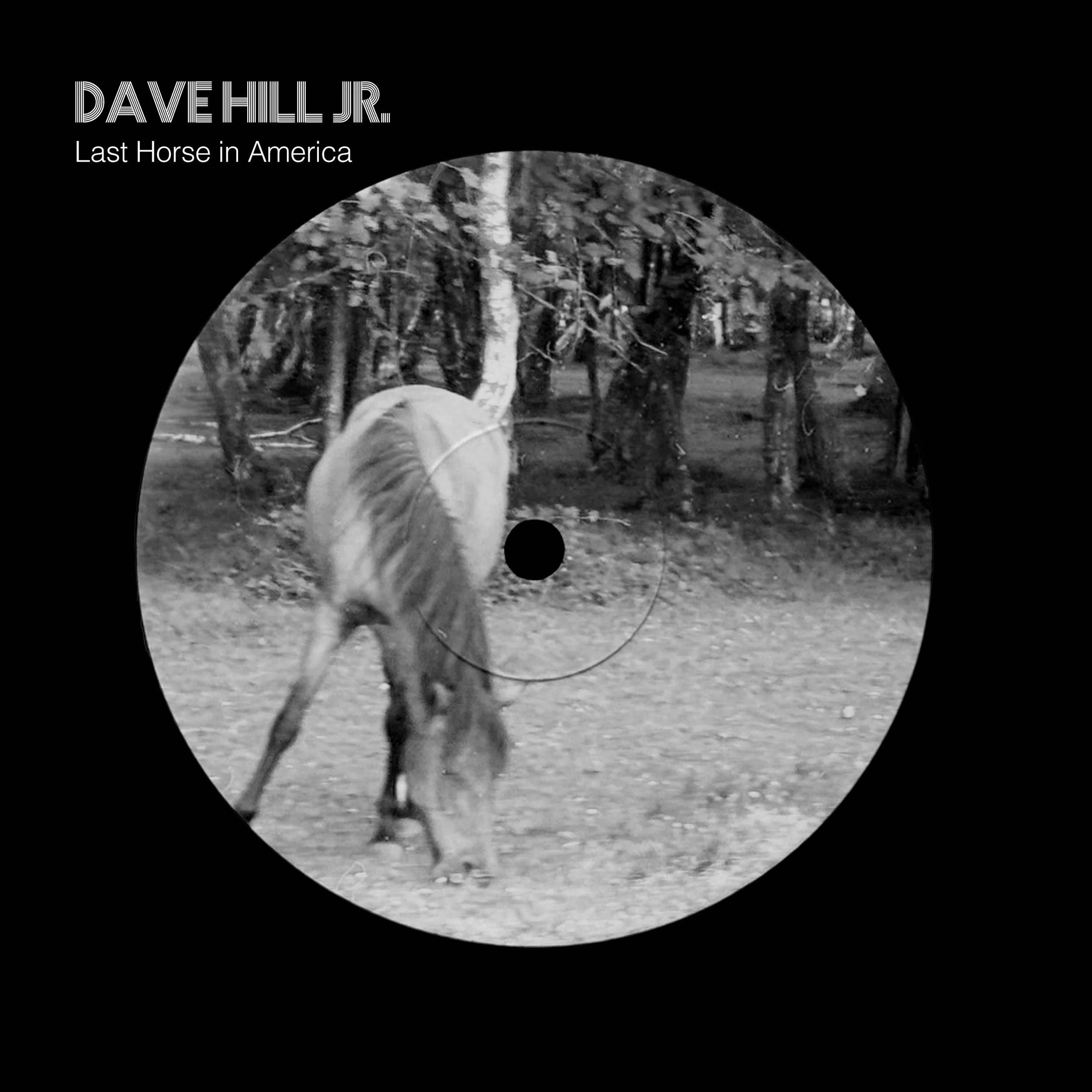 Last Horse in America — Out Now