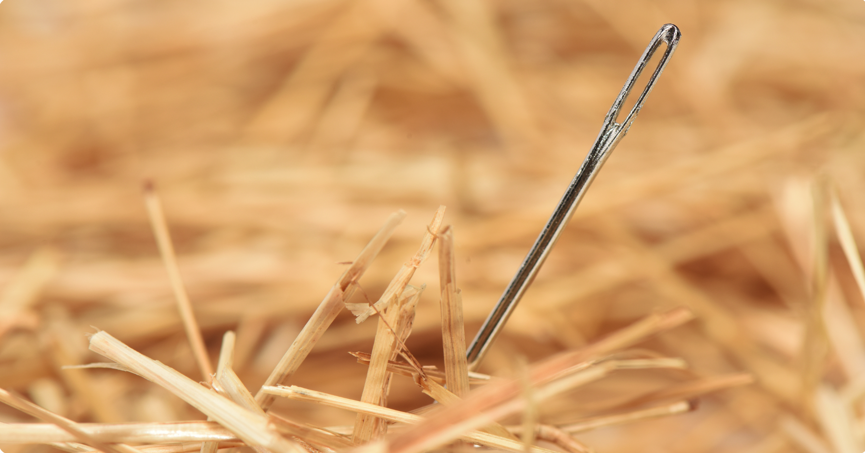 Finding the needle in a haystack
