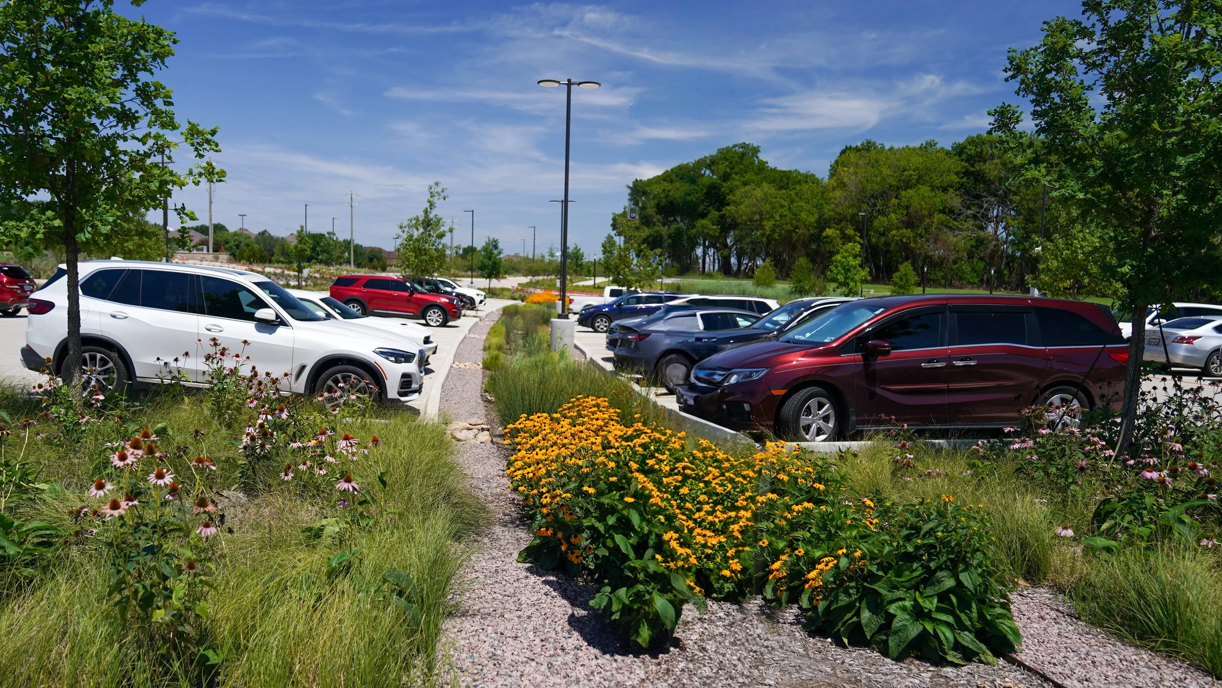 A parking lot with several parked cars surrounded by greenery and trees under a clear blue sky.