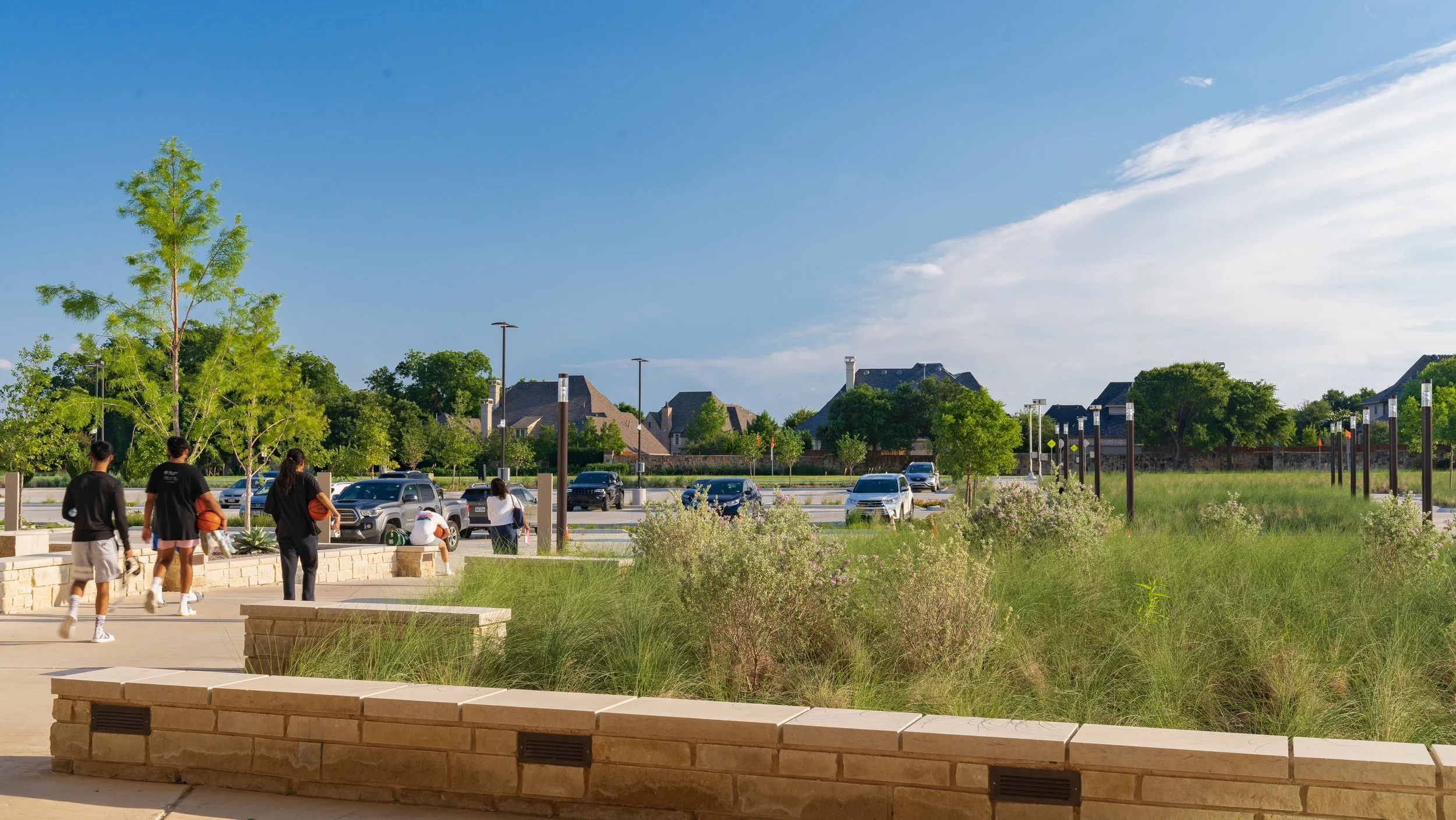 People walking and sitting in a park with trees, shrubs, a parking lot, and houses in the background under a blue sky.