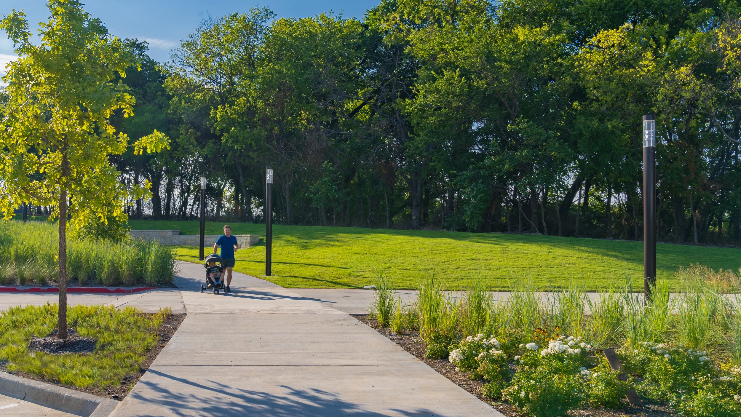 A man pushing a stroller along a paved path in a lush green park with large trees, grass, flowering bushes, and modern black lampposts under a bright blue sky.