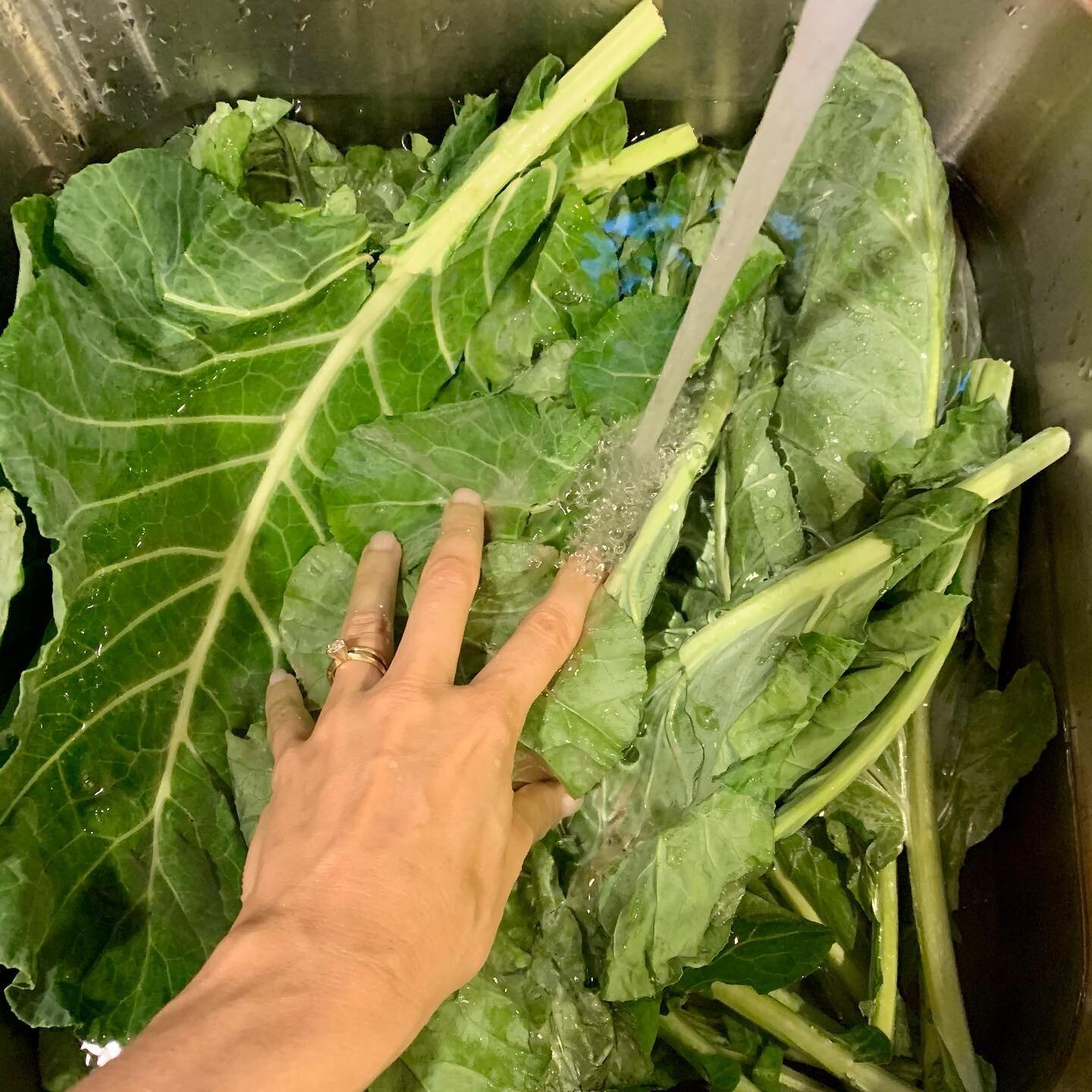 Embarking on Southern collards! Cooking them reduces oxalates, an antinutrient that blocks calcium absorption. So more calcium, plus...delish.