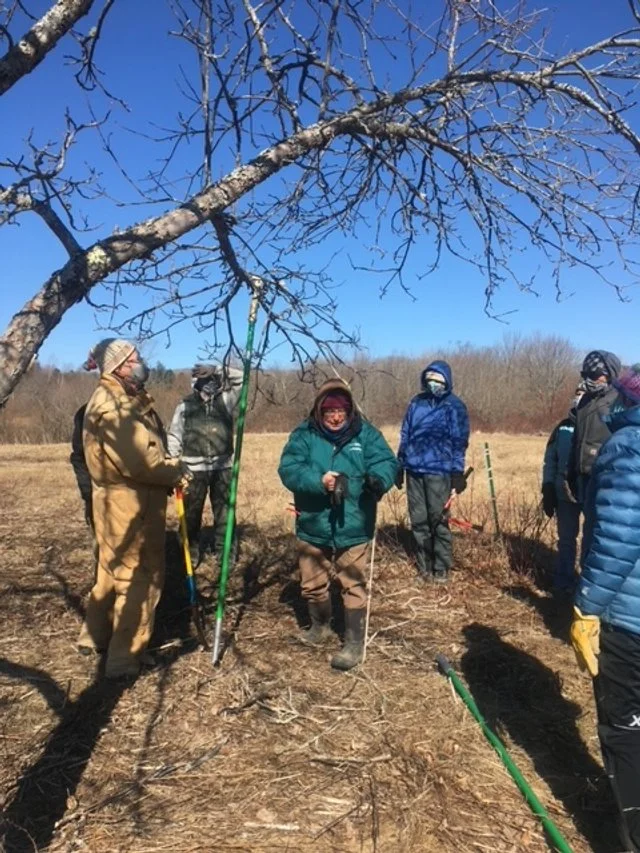 Apple Pruning Techniques -