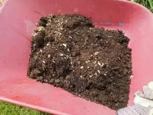 Tuesday Talk – Composting Basics 