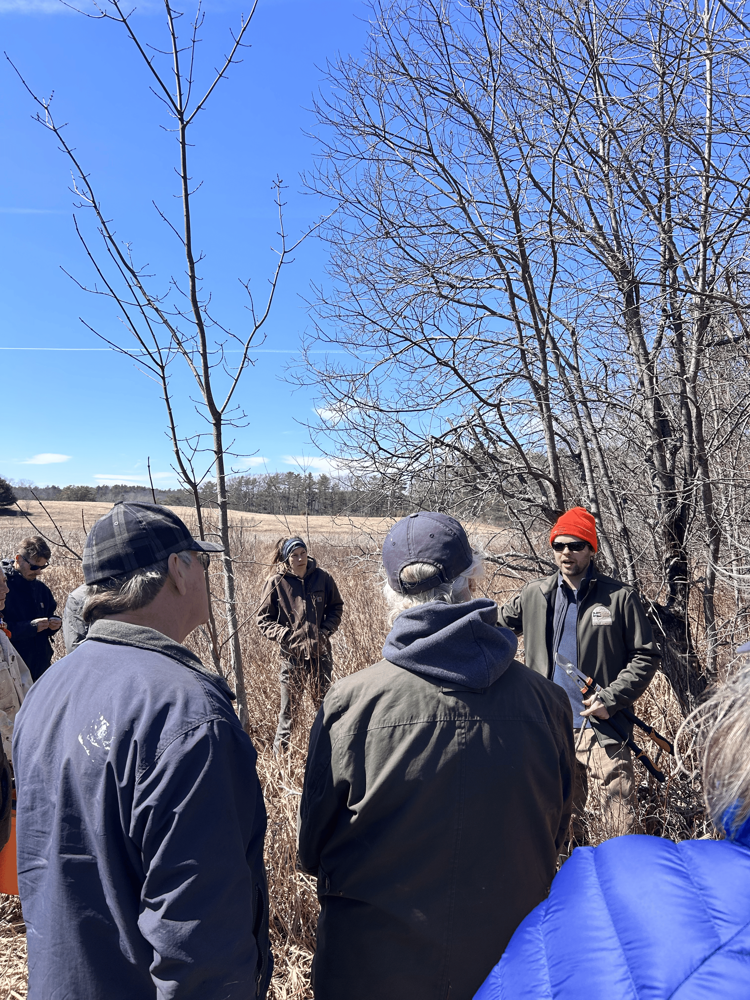 Live Staking Workshop
