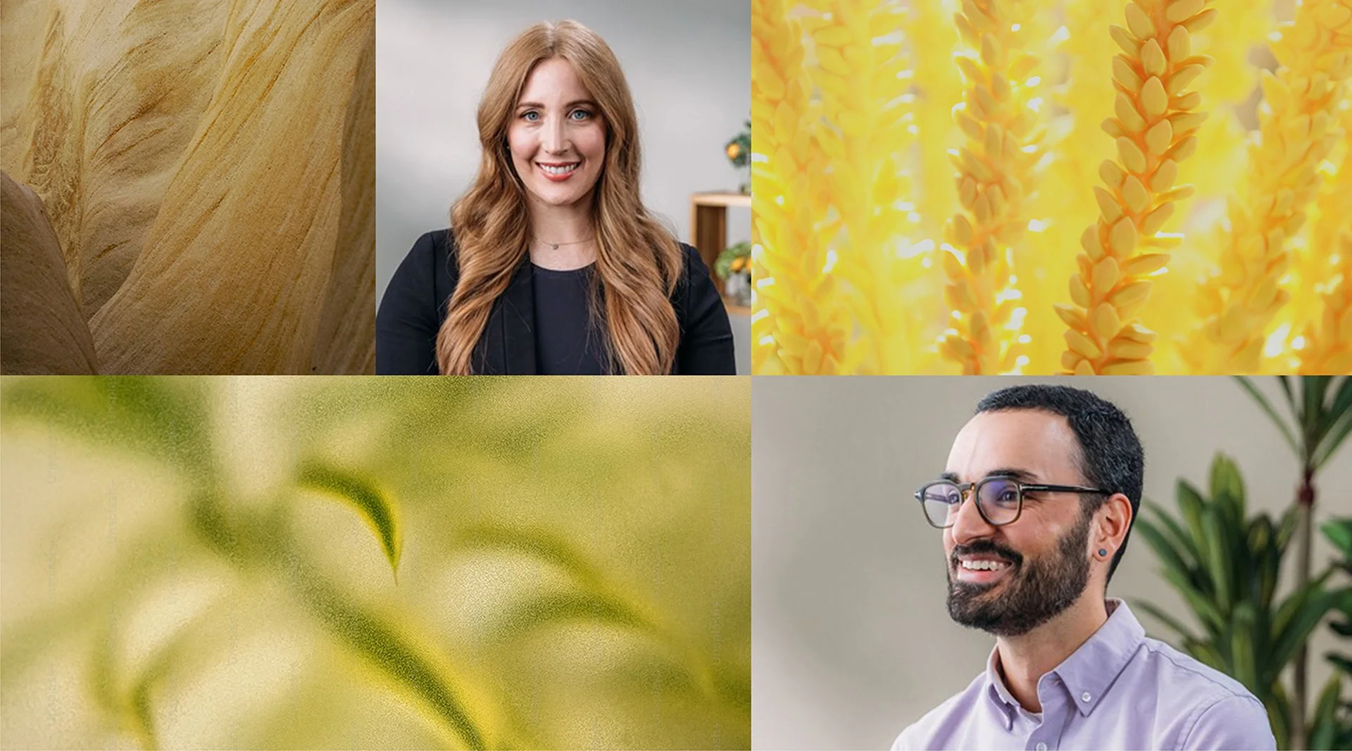 Aligned Modern Health – Visual Identity