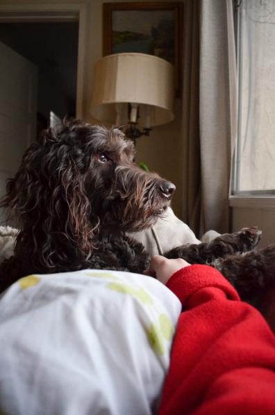 Screen Shot 2026-01-18 at 12.48.17 AM.png