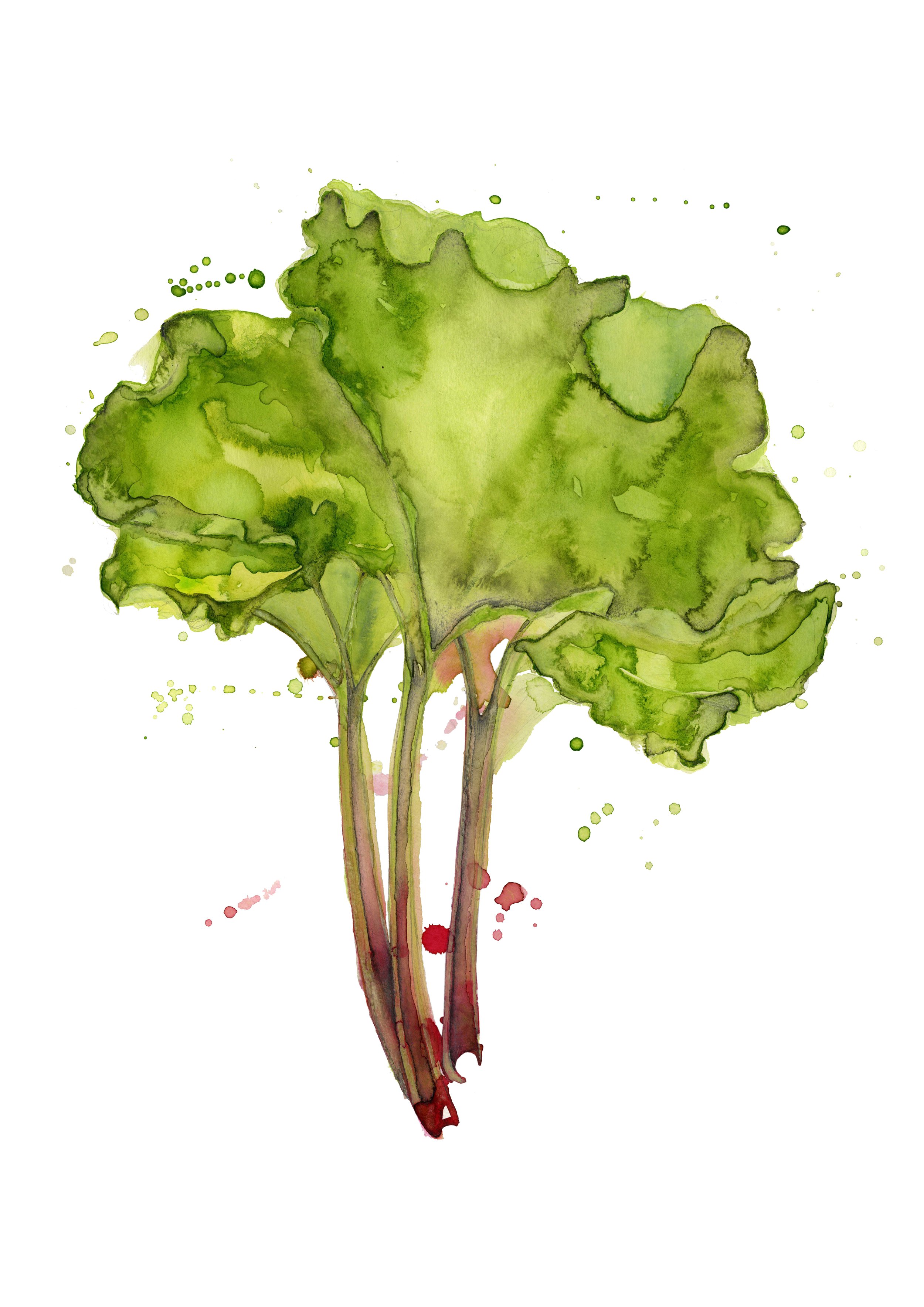 "The rhubarb gang", encre sur papier, 29,7cm x 42cm, 2017.
Disponible en tirage A3 d'une édition limitée à 30 pièces, numéroté et signé.
Prix non encadré: CHF 80.-