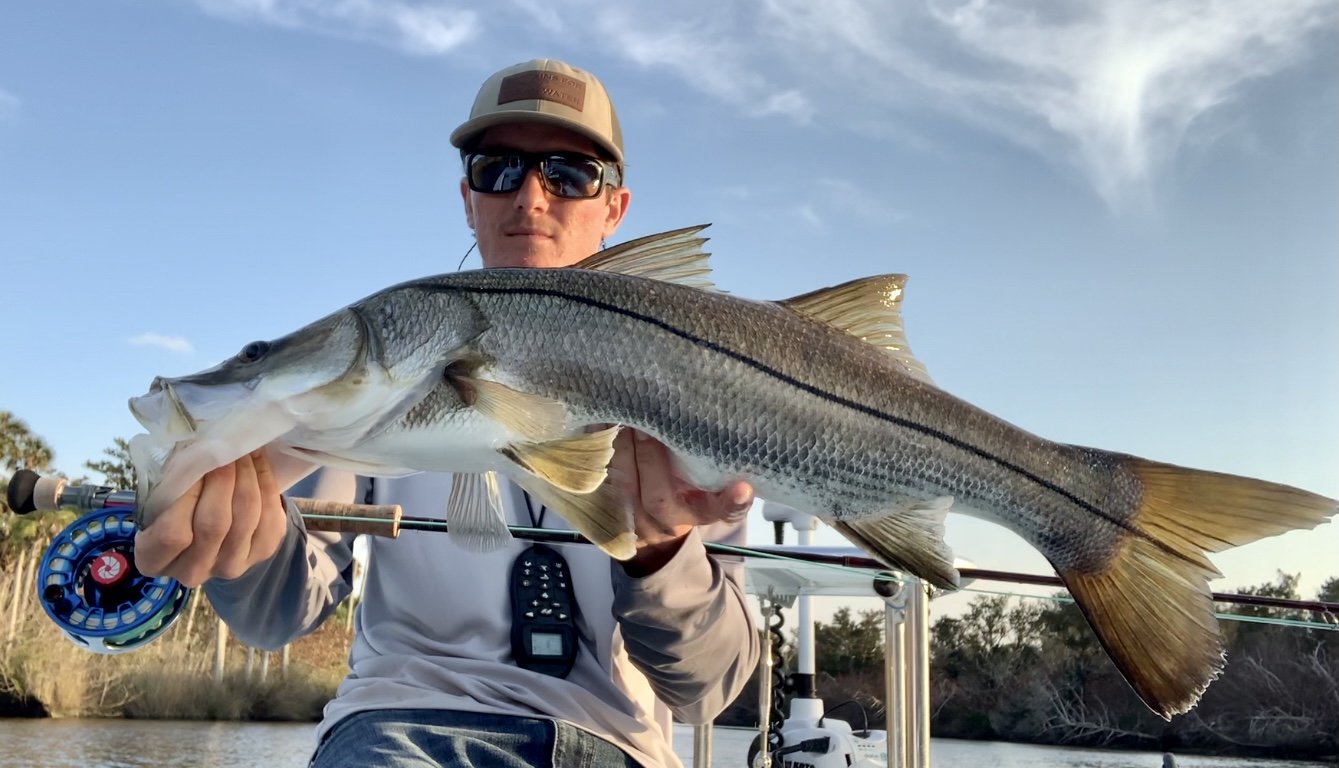 Saltwater fishing: Snook are biting all over Tampa Bay