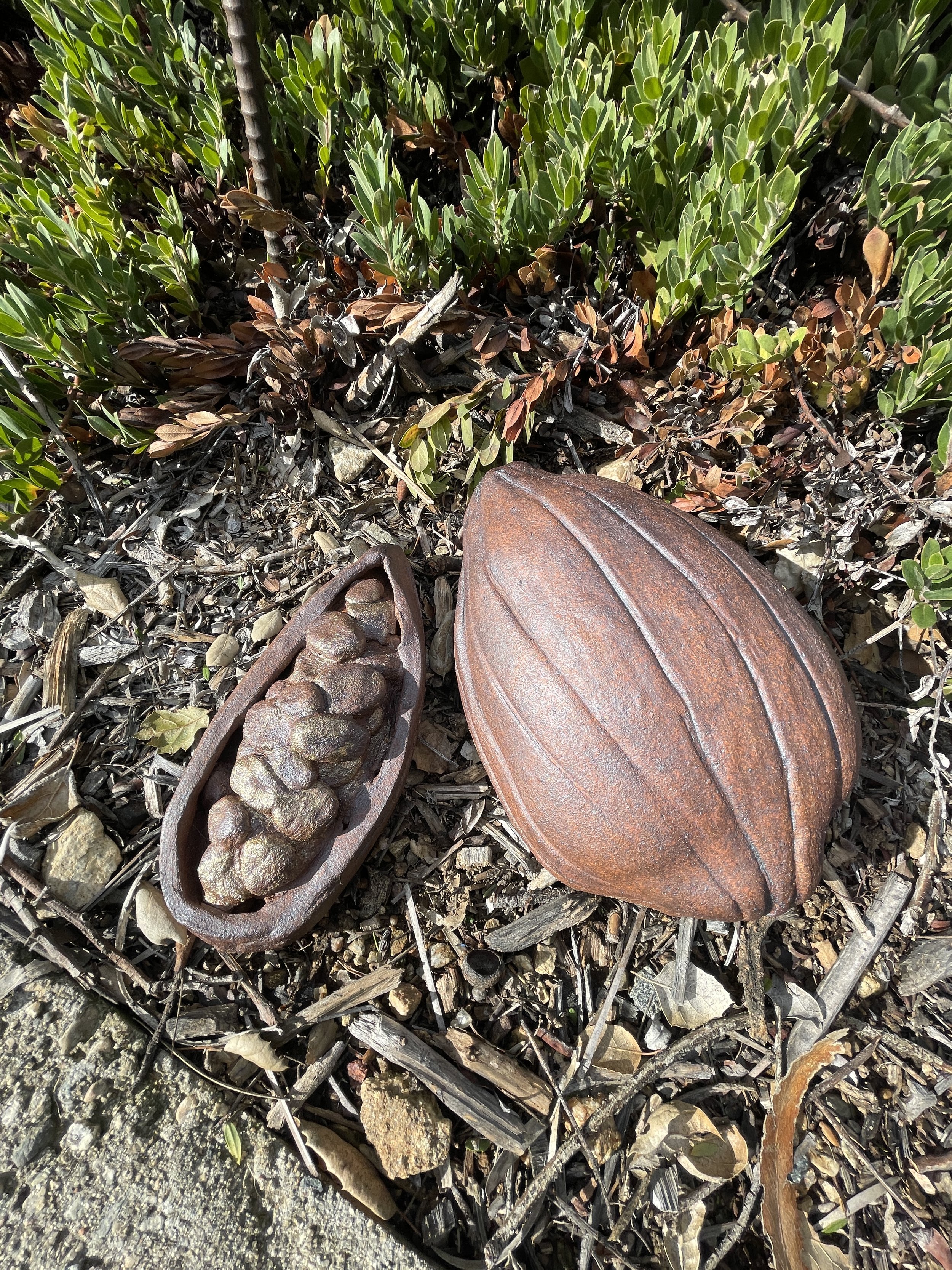 Cacao pod, Ceramic, 2025

This is a permanent installation at Maloof Foundation Garden and Gallery