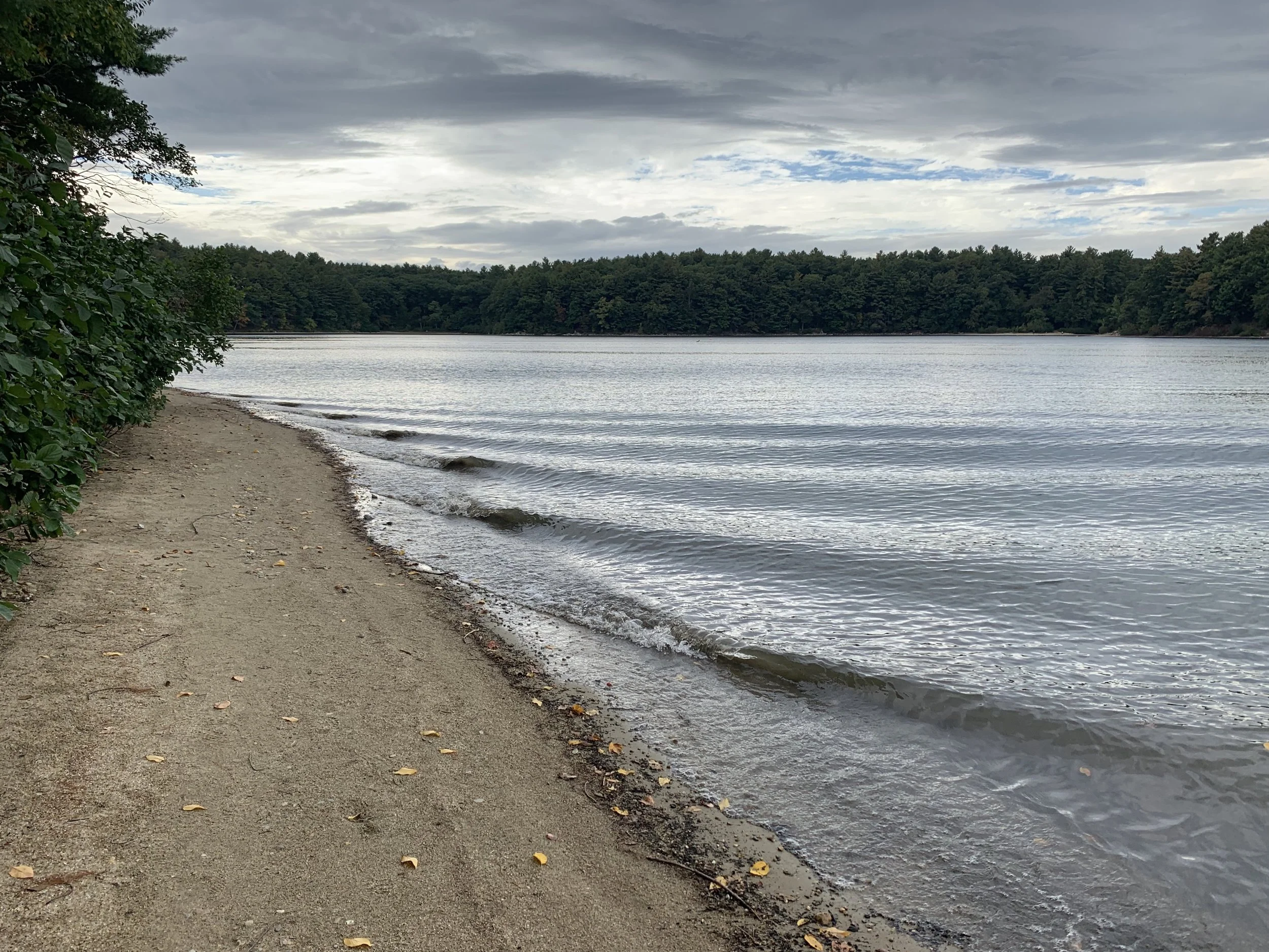 *September.Walden.moodywaves.JPG