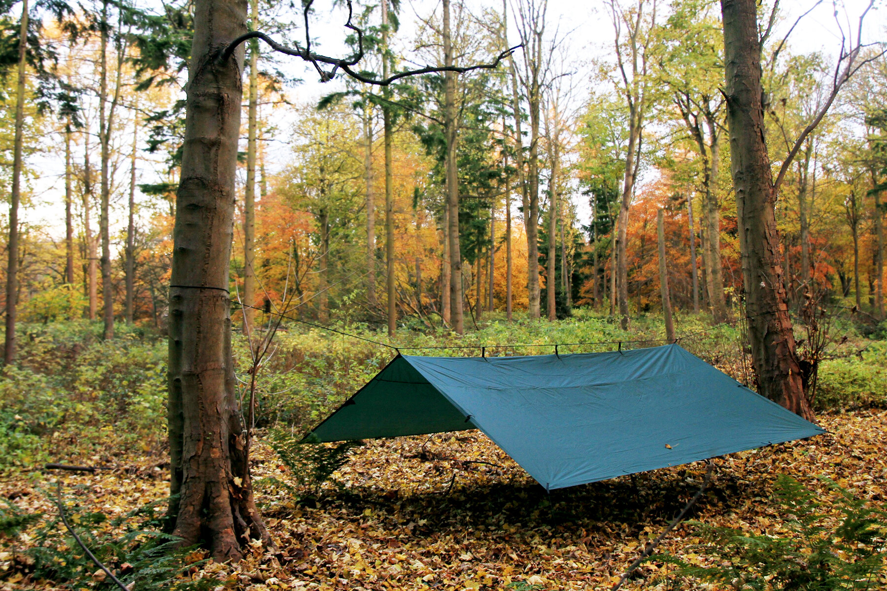 DD_Tarp_4x4_Green_High_Res_05e.jpeg