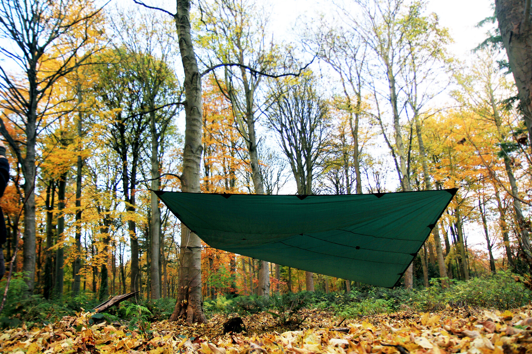 DD_Tarp_4x4_Green_High_Res_04e.jpeg