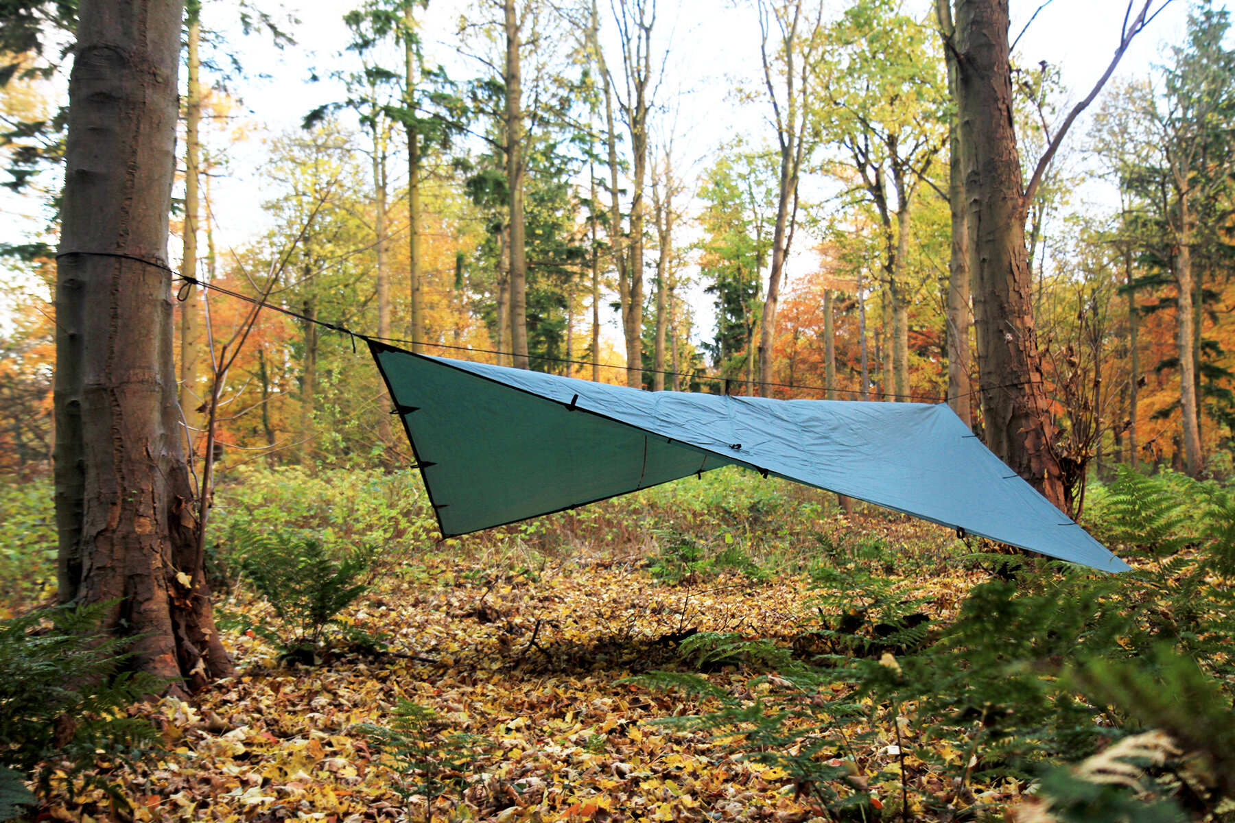 DD_Tarp_4x4_Green_High_Res_03.jpeg