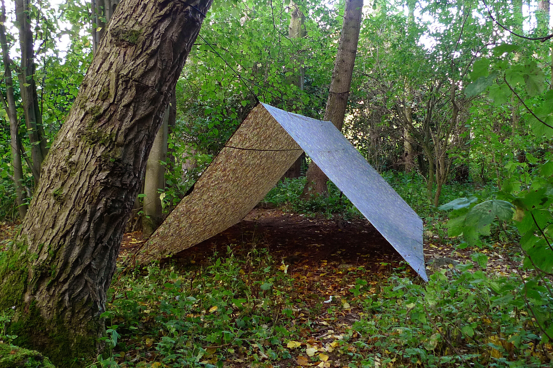 DD_Tarp_4x4_MC_240915_10.jpeg