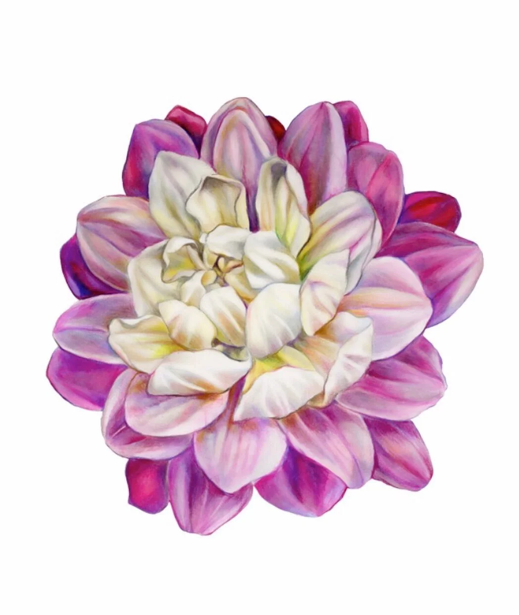 Hyper color blooms #textiledesign #illustration #floral #botanical