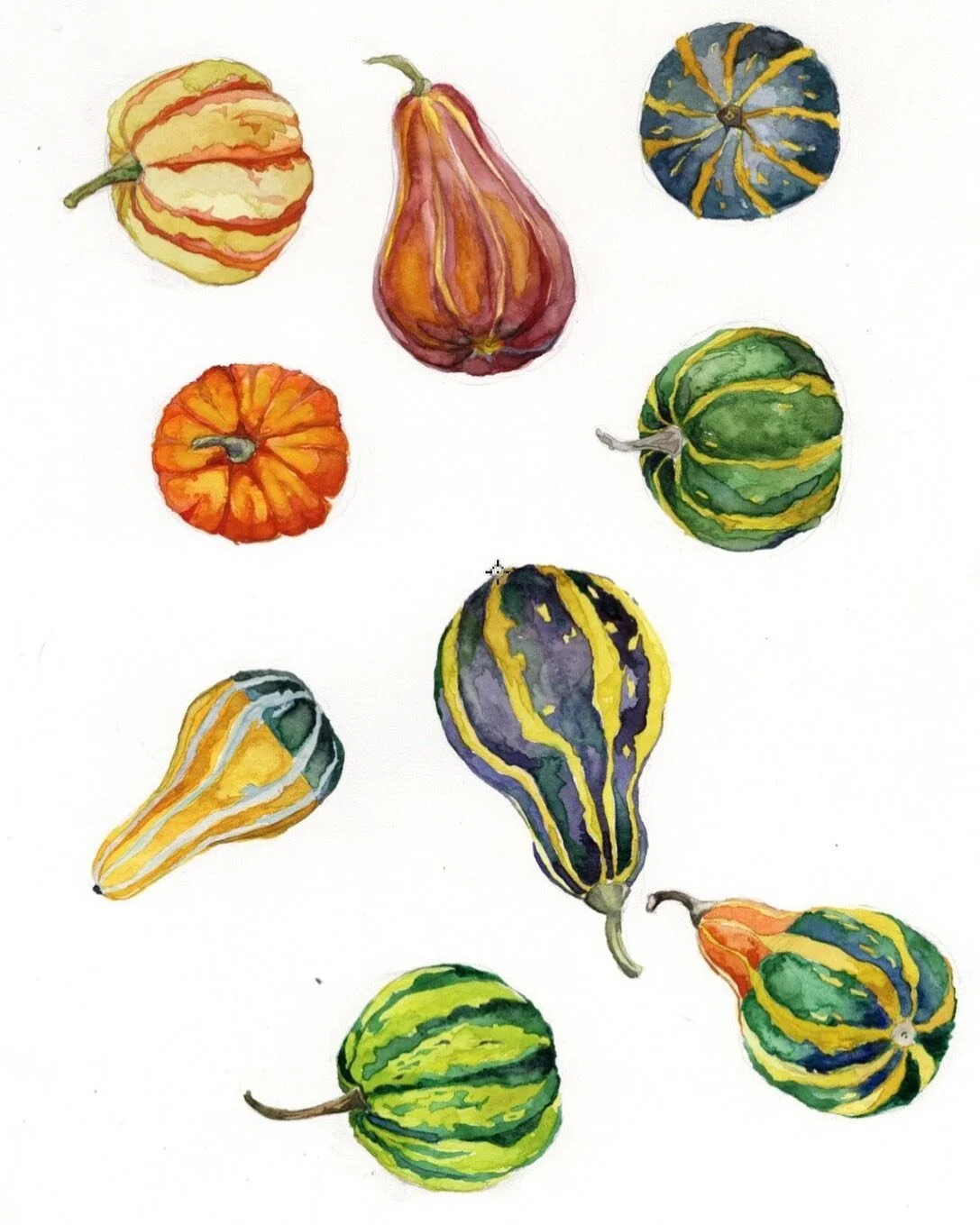 Welcoming fall with watercolor gourds 🎃