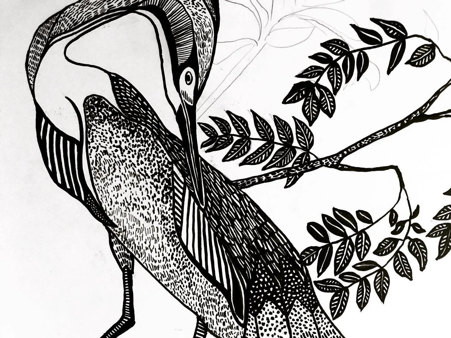 Patterns on feathers in ink 🕸 #illustration #textiledesign
