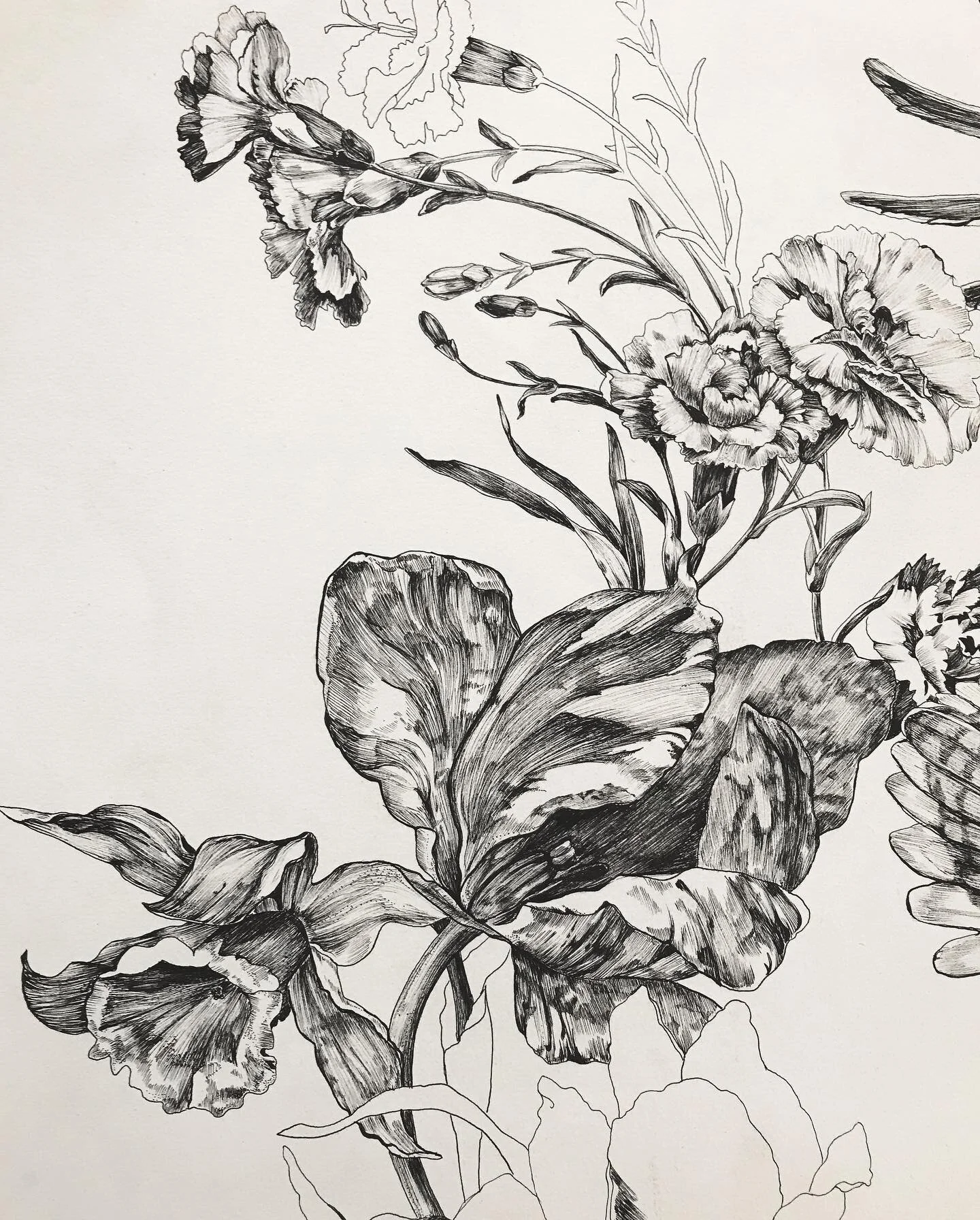 Pen and ink from the archives 🖊✨#botanical #floral #textiledesign